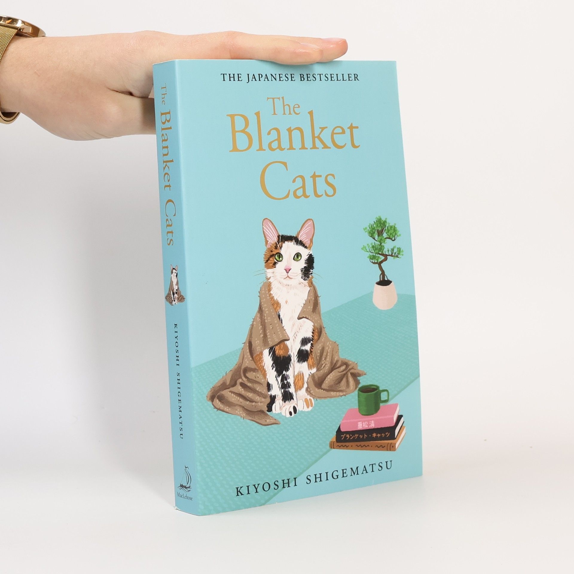 Kiyoshi Shigematsu The Blanket Cats