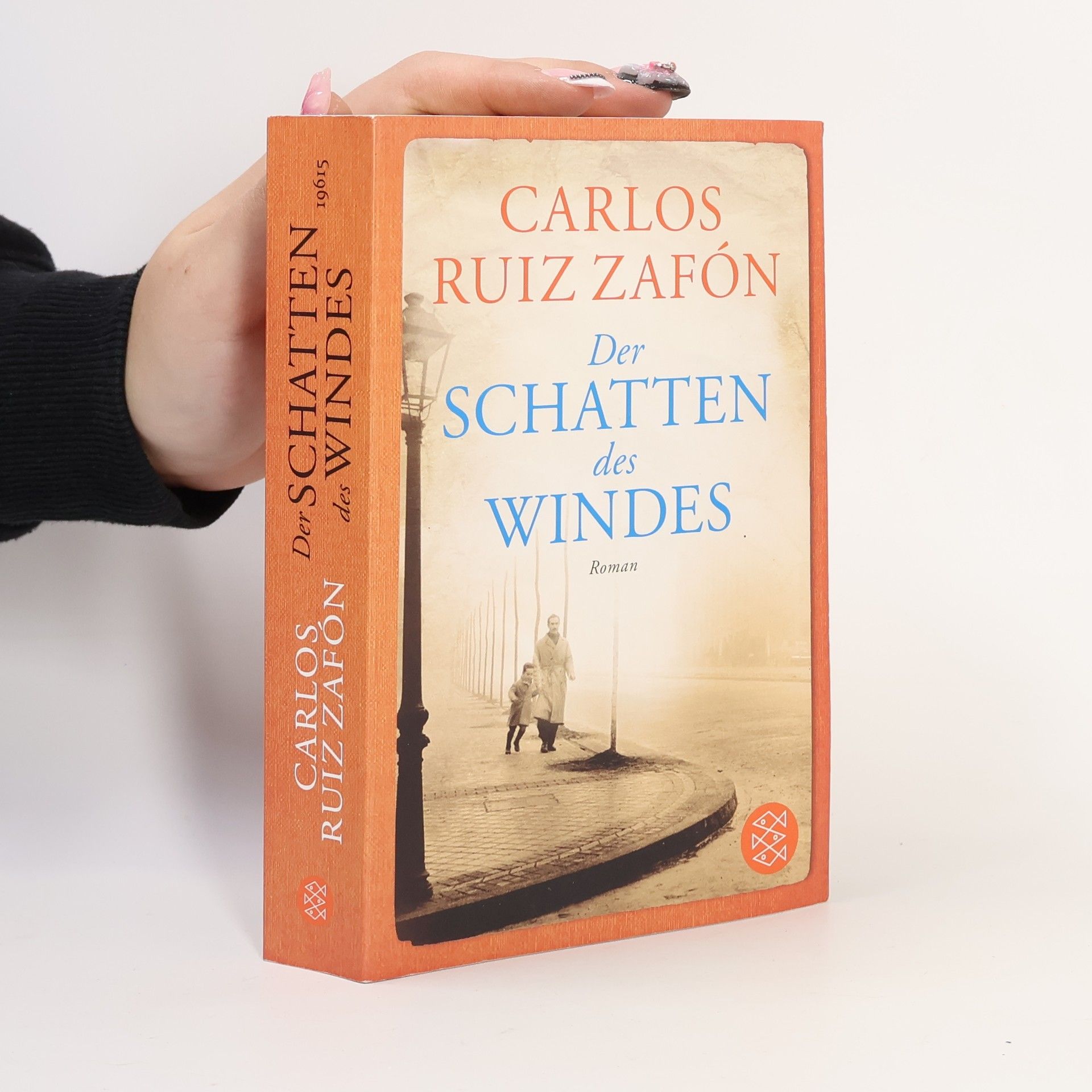 Carlos Ruiz Zafón Der Schatten des Windes