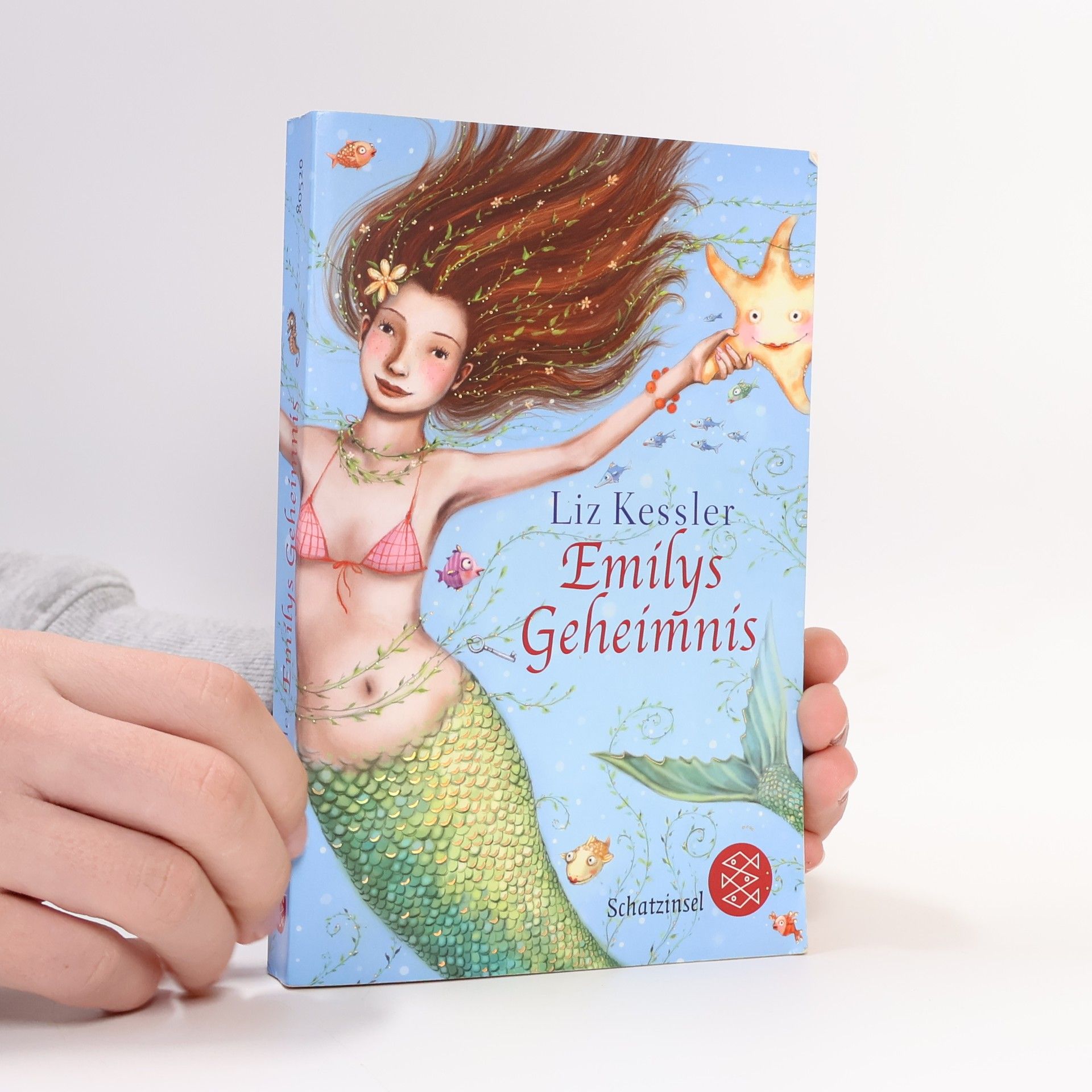 Liz Kessler Emilys Geheimnis