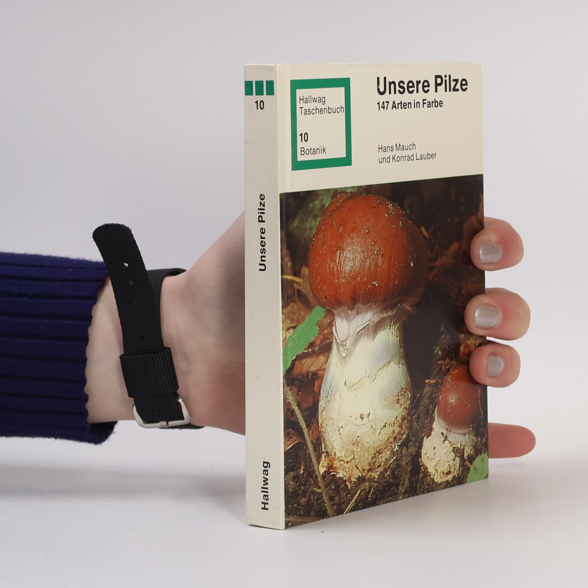 Hans Mauch Unsere Pilze