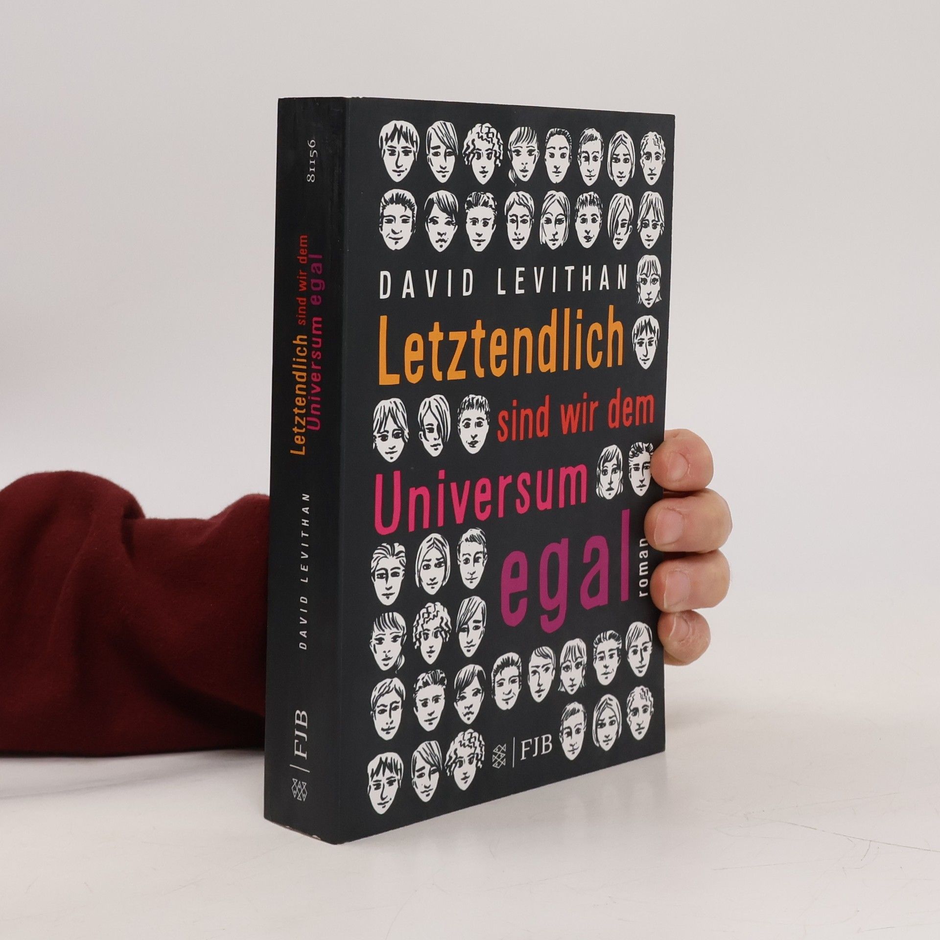 David Levithan Letztendlich sind wir dem Universum egal