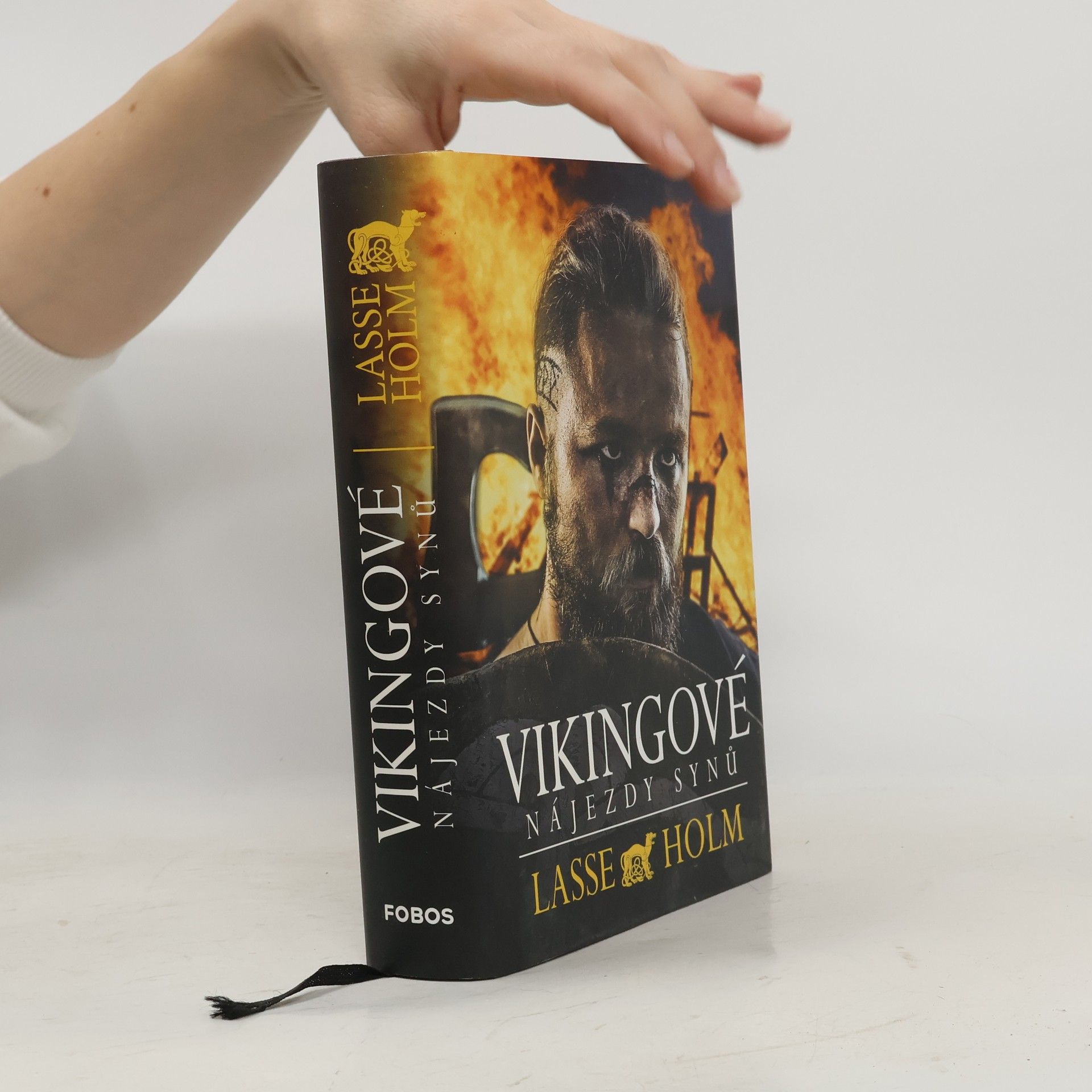 Lasse Holm Vikingové. Nájezdy synů