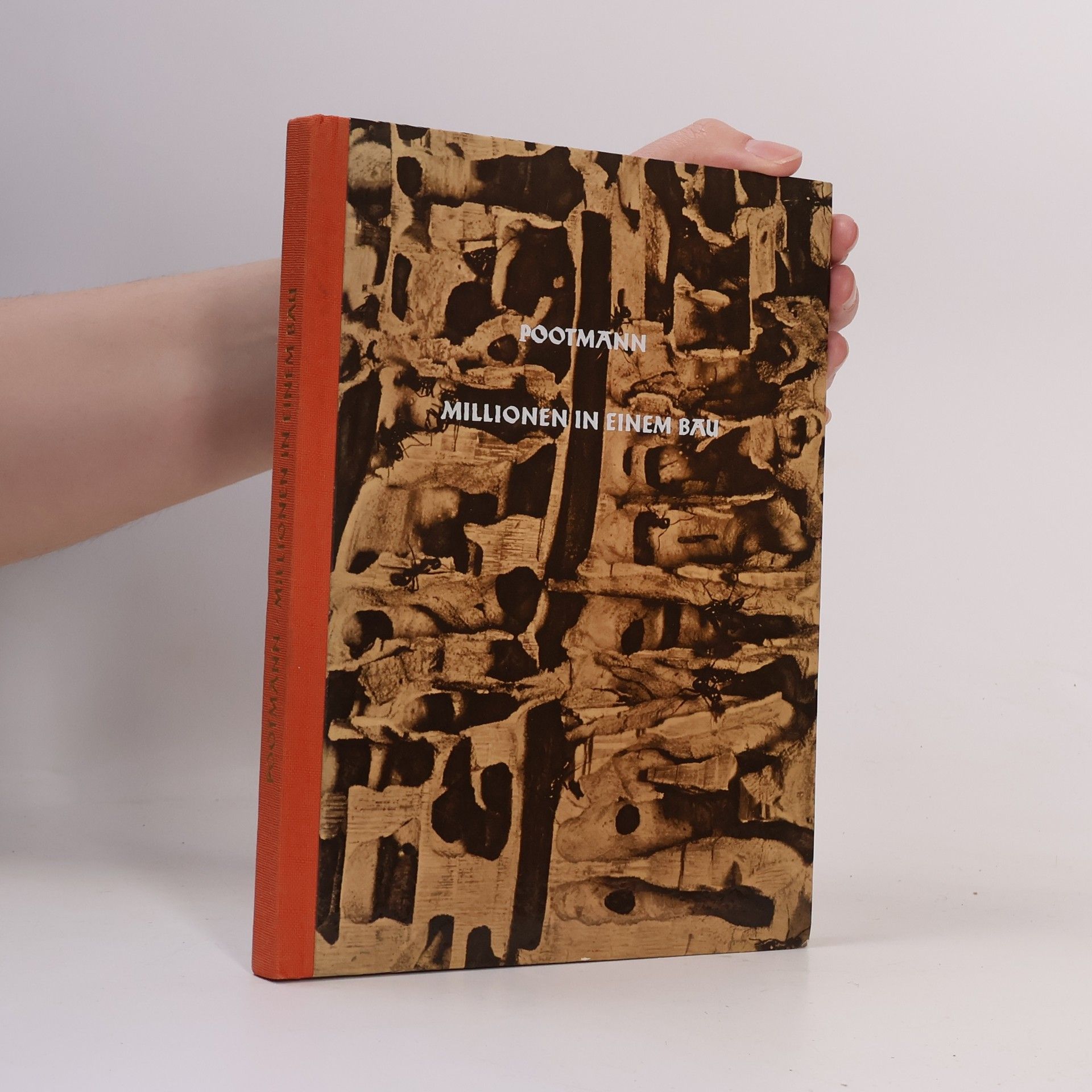 Franz Joseph Pootmann Millionen in einem bau