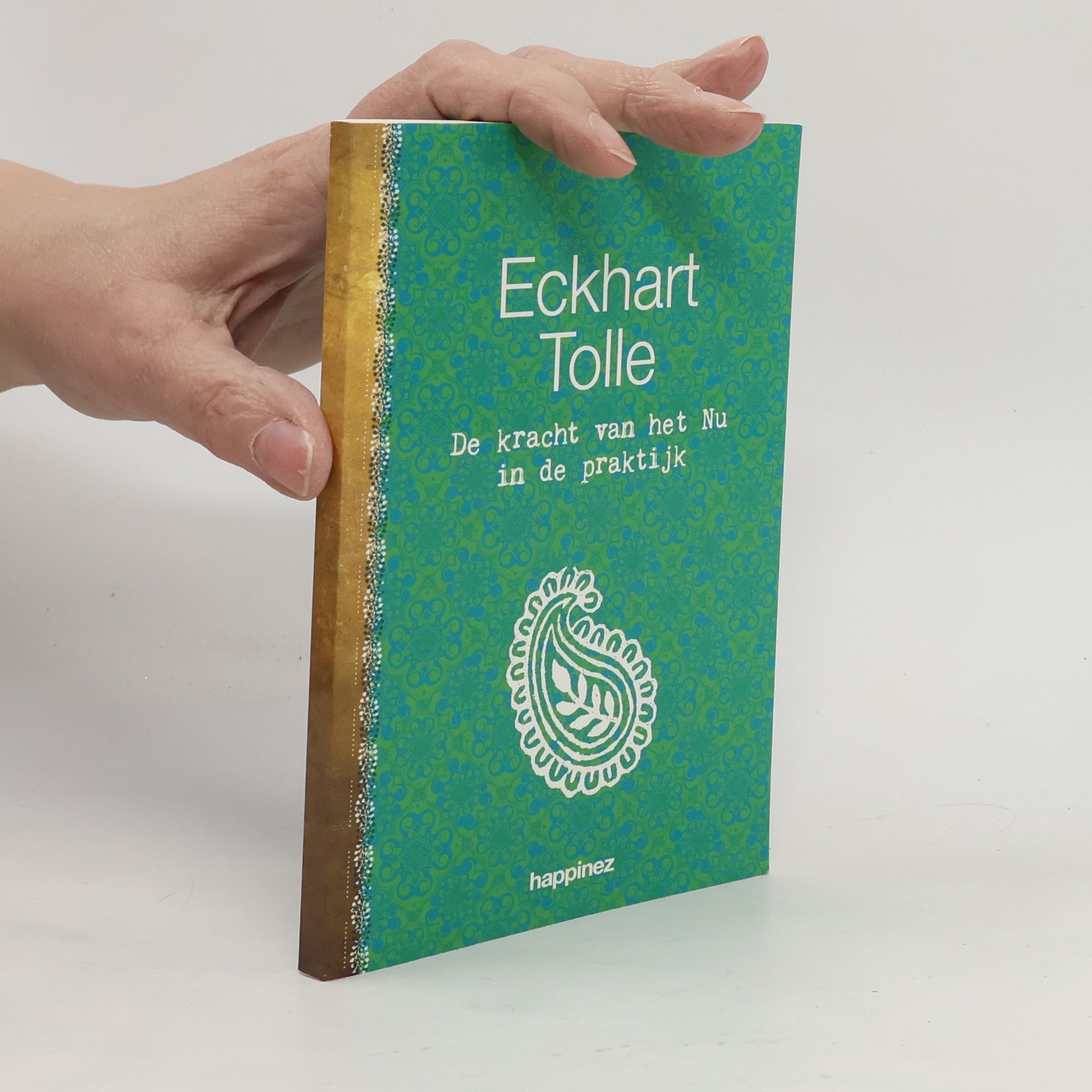 Eckhart Tolle De kracht van het Nu in de praktijk / druk 1