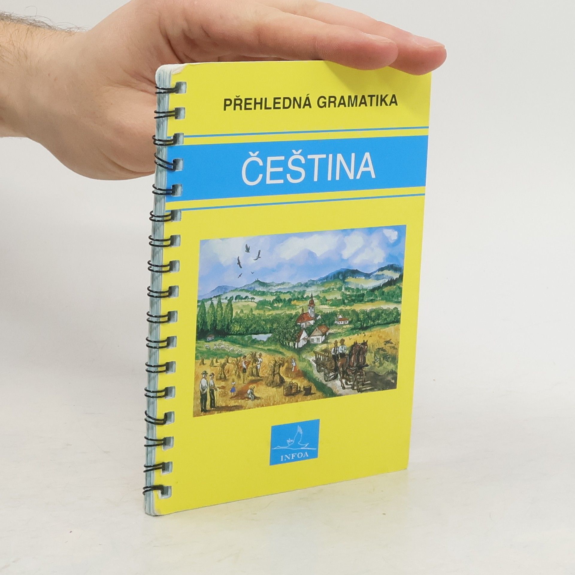 Martina Sobotíková Čeština. Přehledná gramatika