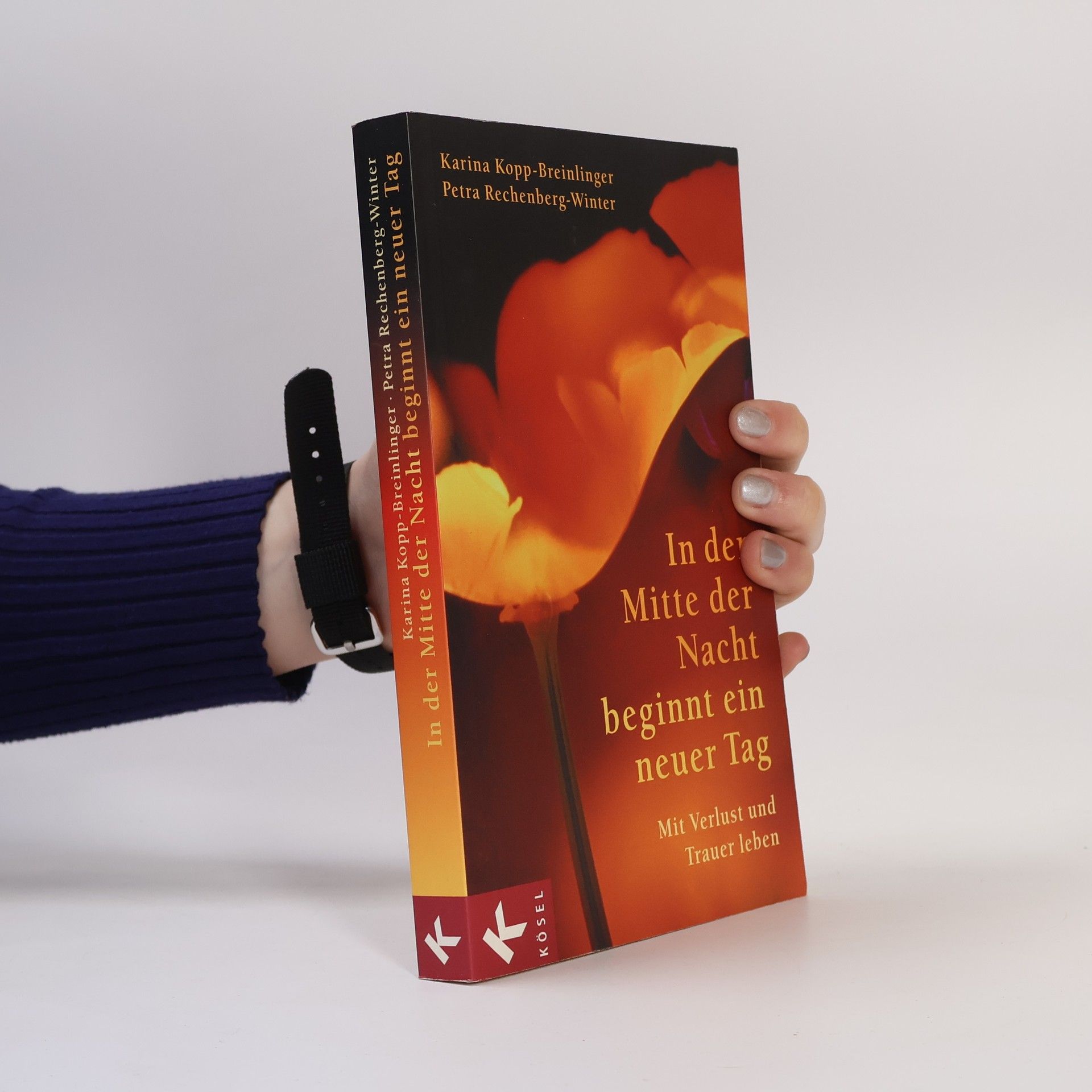 Karina Kopp Breinlinger In der Mitte der Nacht beginnt ein neuer Tag
