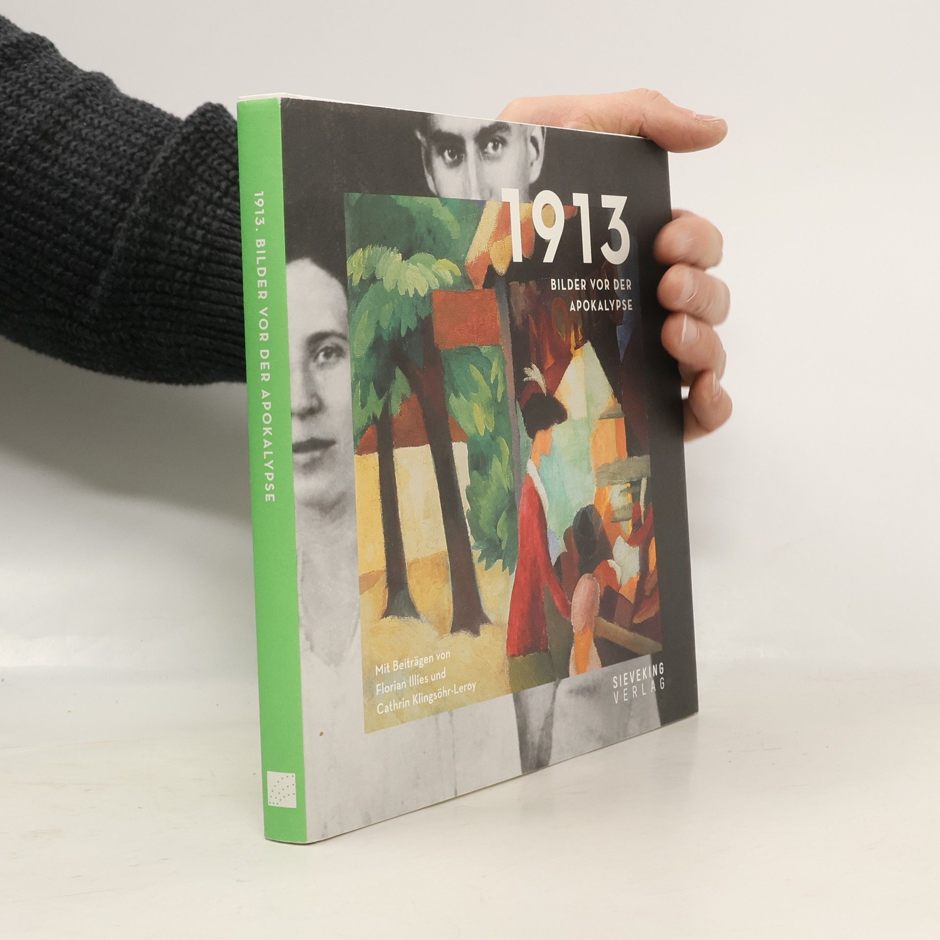 1913 - Bilder vor der Apokalypse