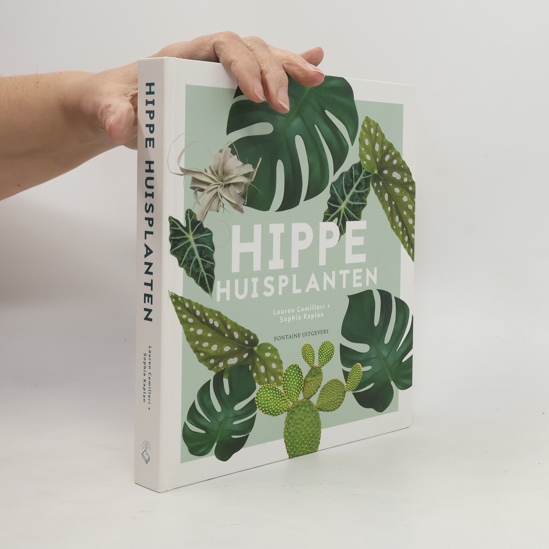 Lauren Camilleri Hippe huisplanten
