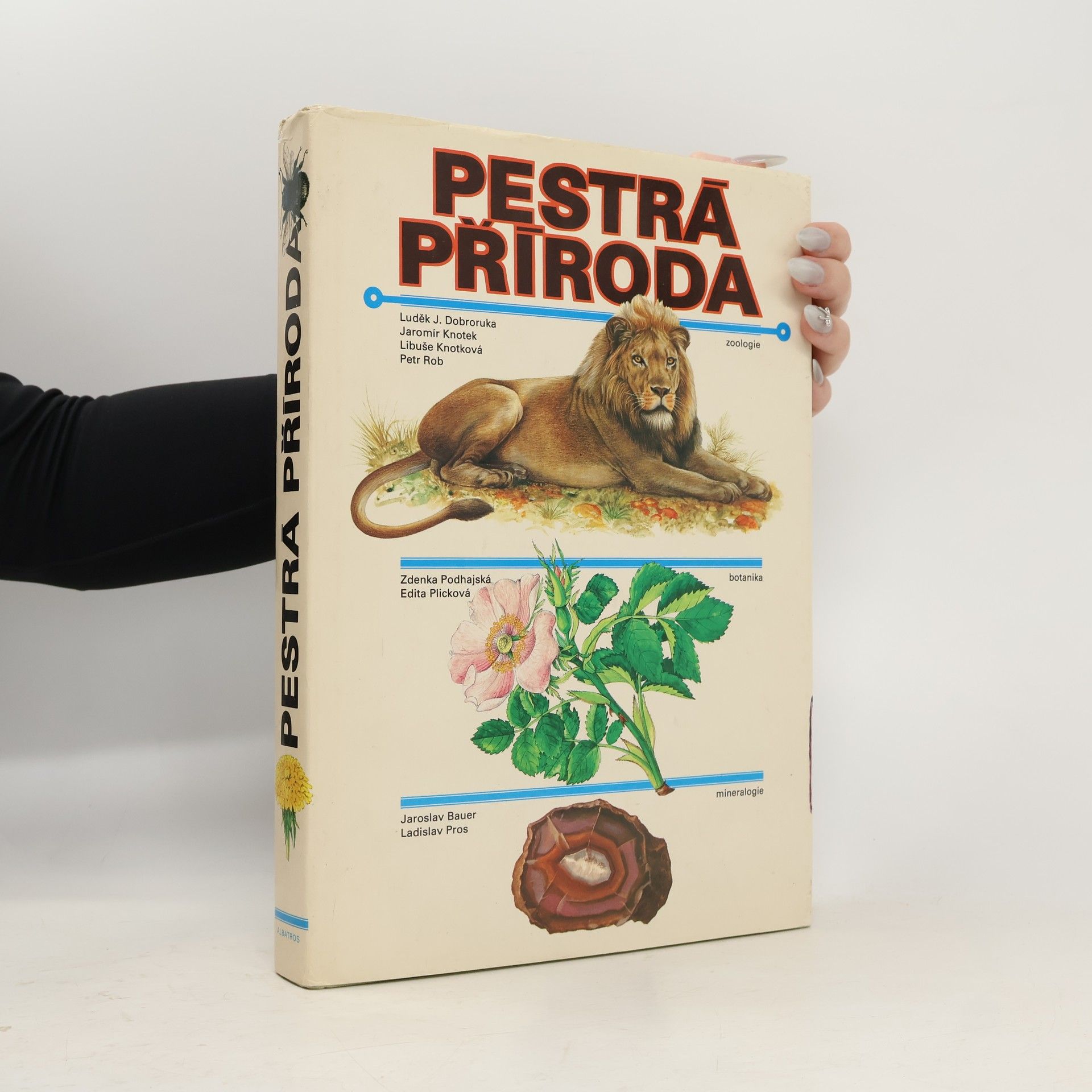 Autorenkollektiv Pestrá příroda