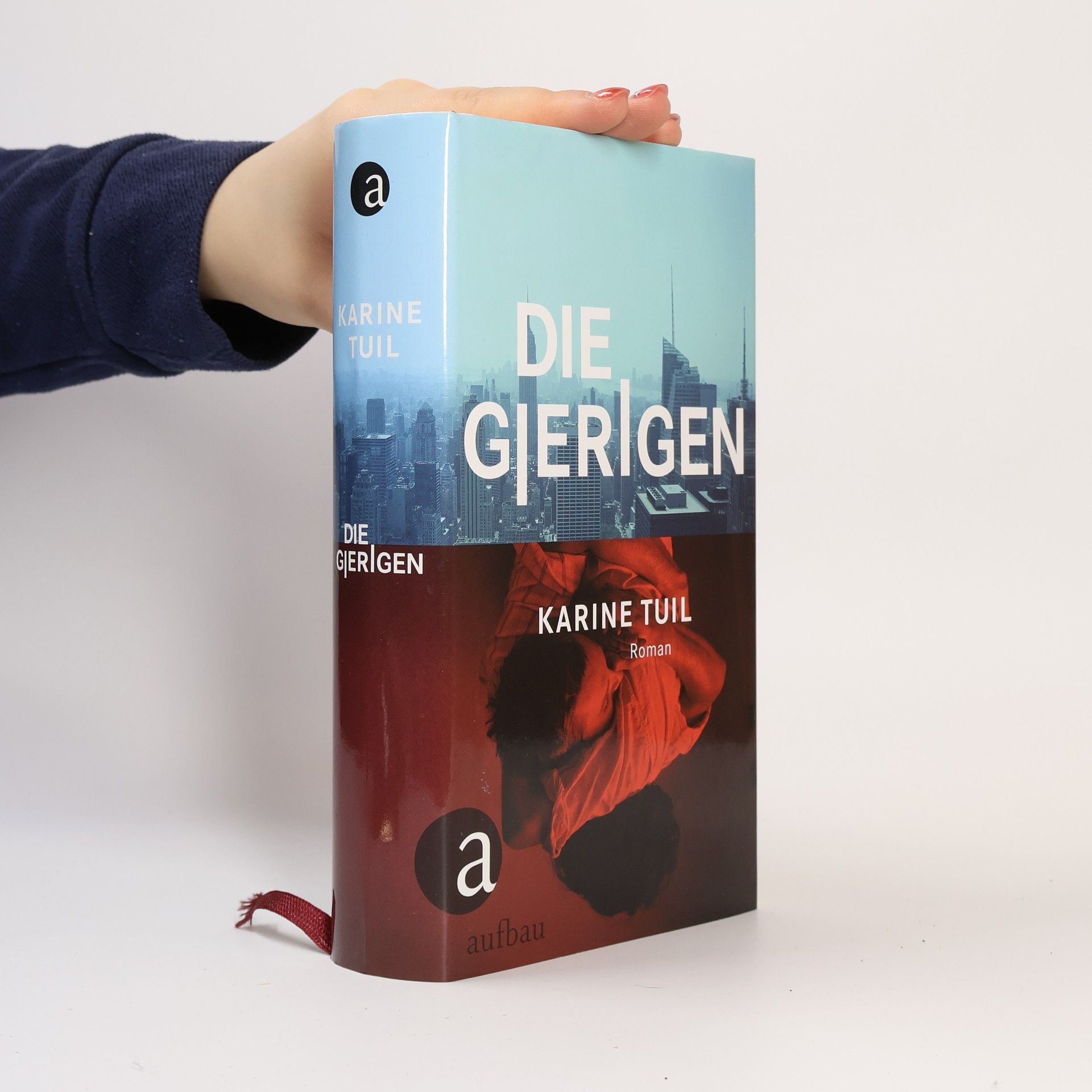 Karine Tuil Die Gierigen