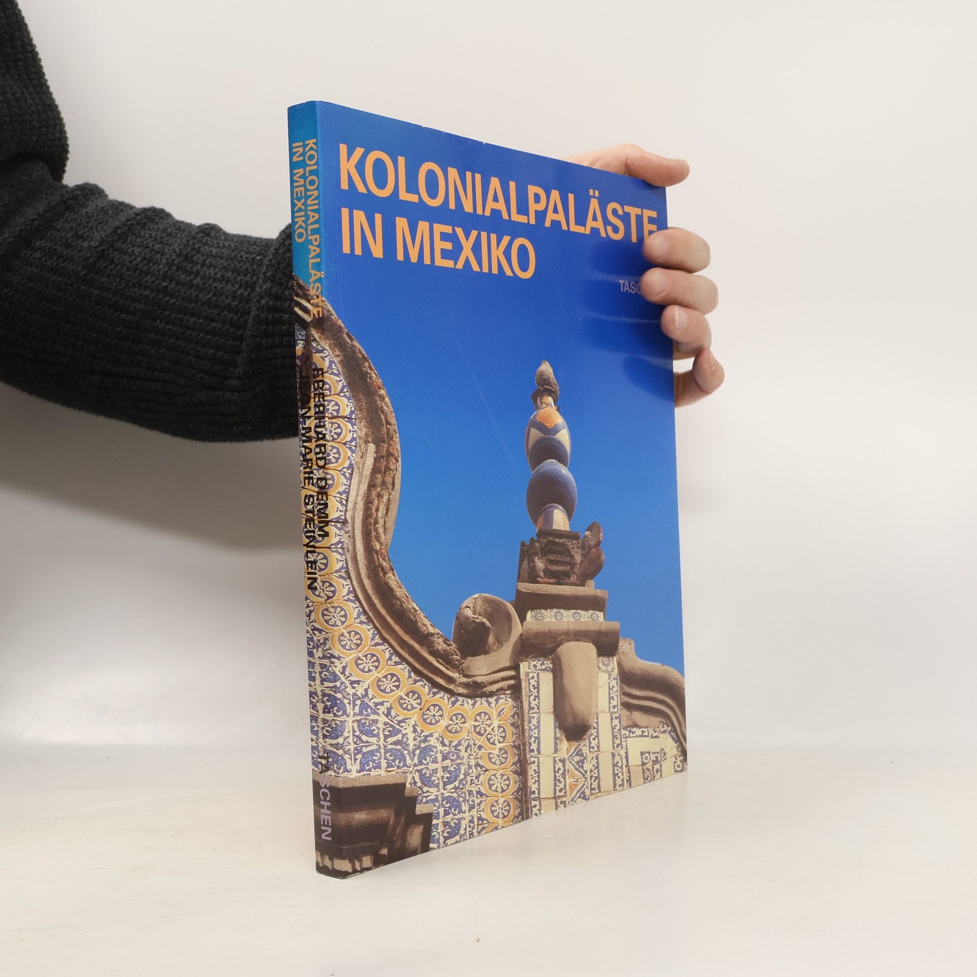 Eberhard Demm Spanische Kolonialpaläste in Mexiko