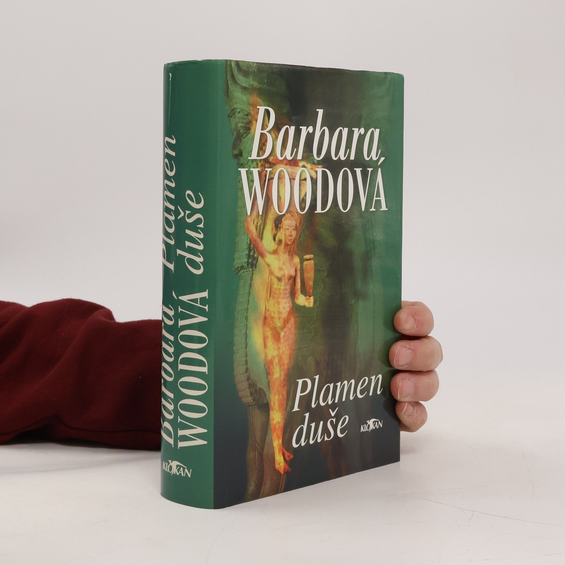 Barbara Wood Plamen duše