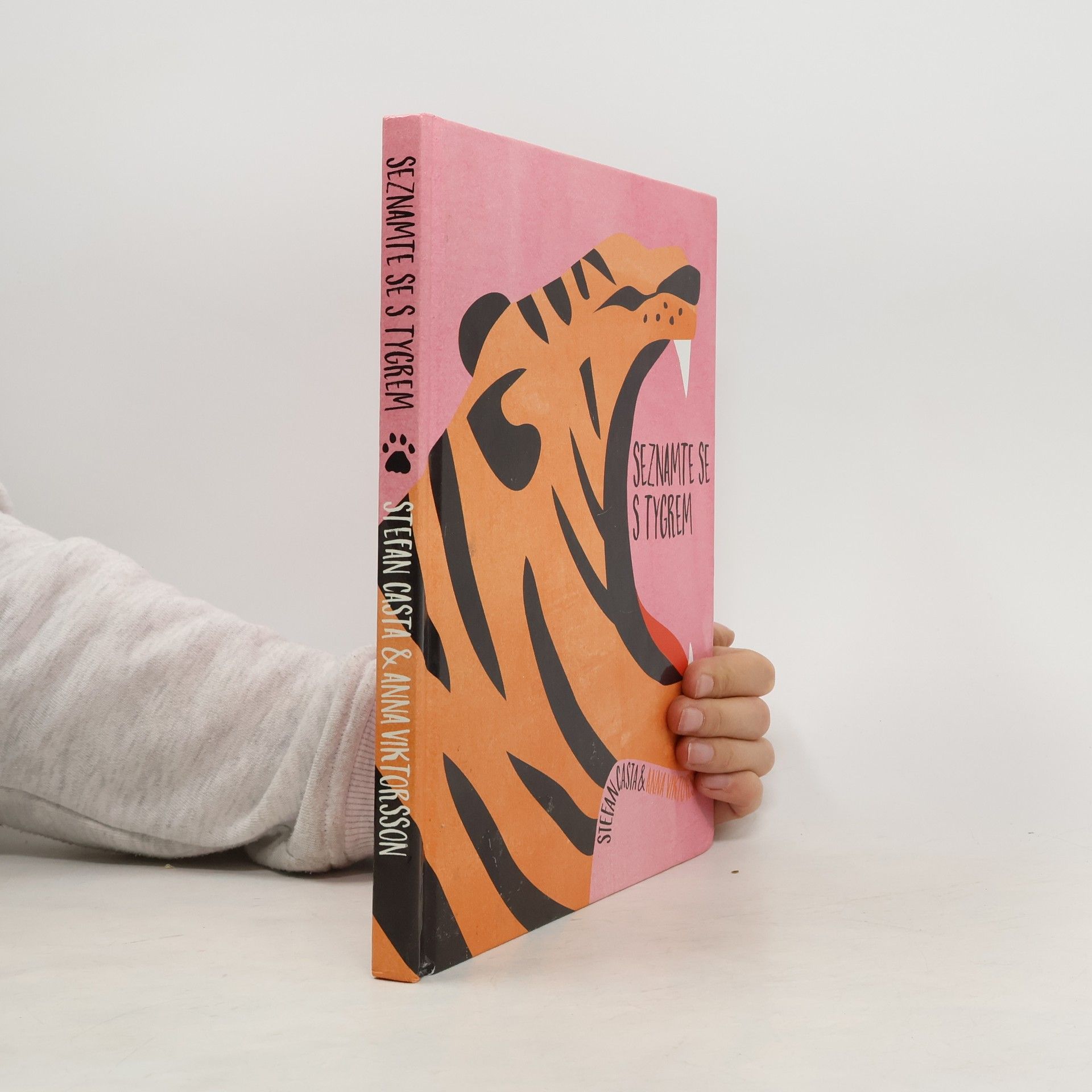 Seznamte se s tygrem