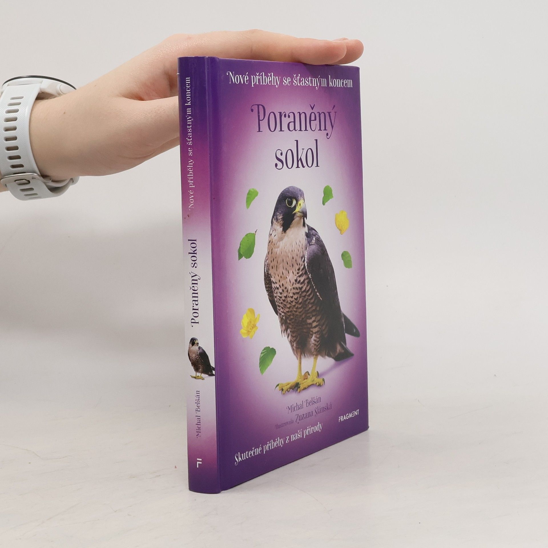 Michal Belšán Poraněný sokol