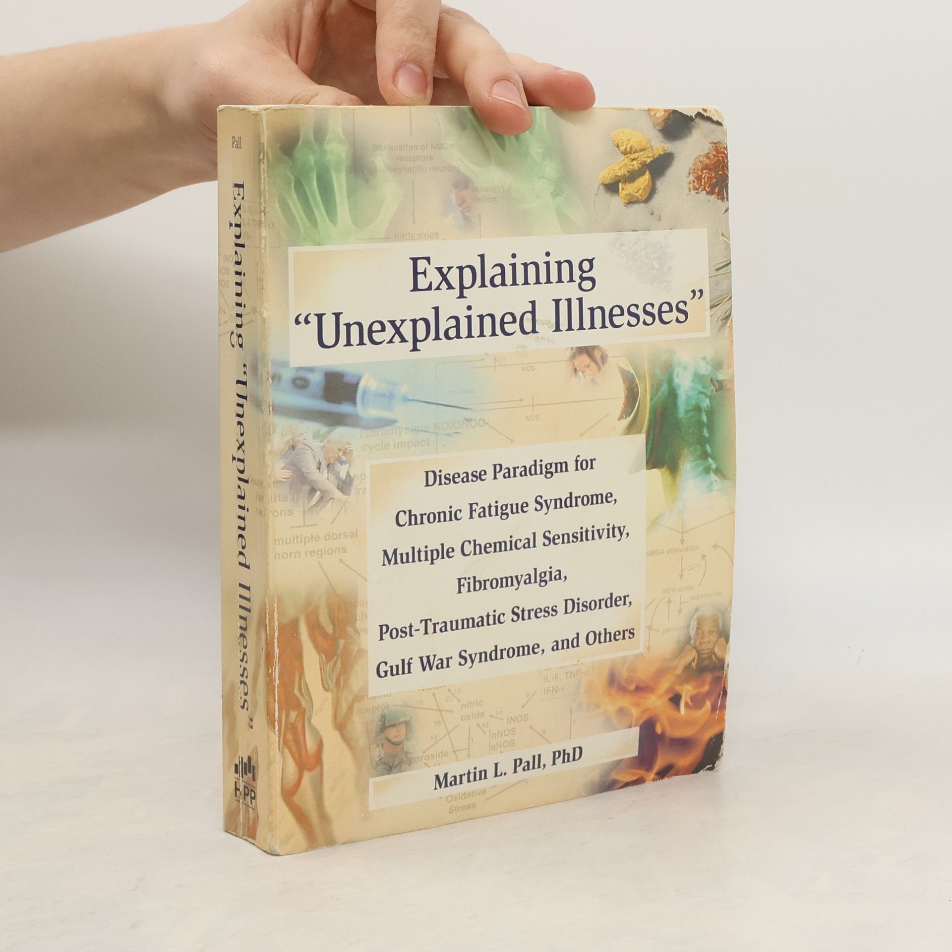 Martin L. Prof. Dr. Pall Explaining "Unexplained Illnesses"