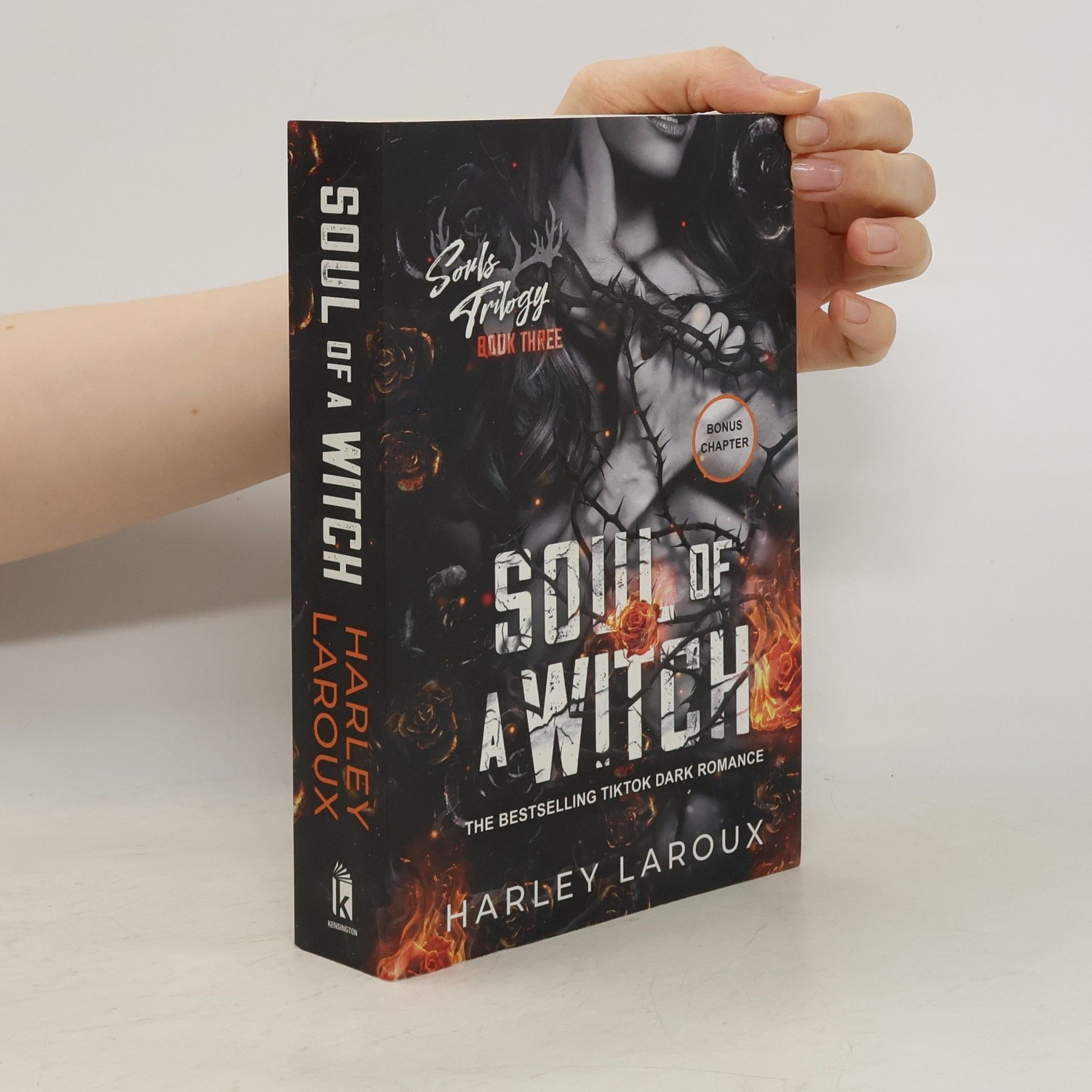 Soul of a Witch: A Spicy Dark Demon Romance