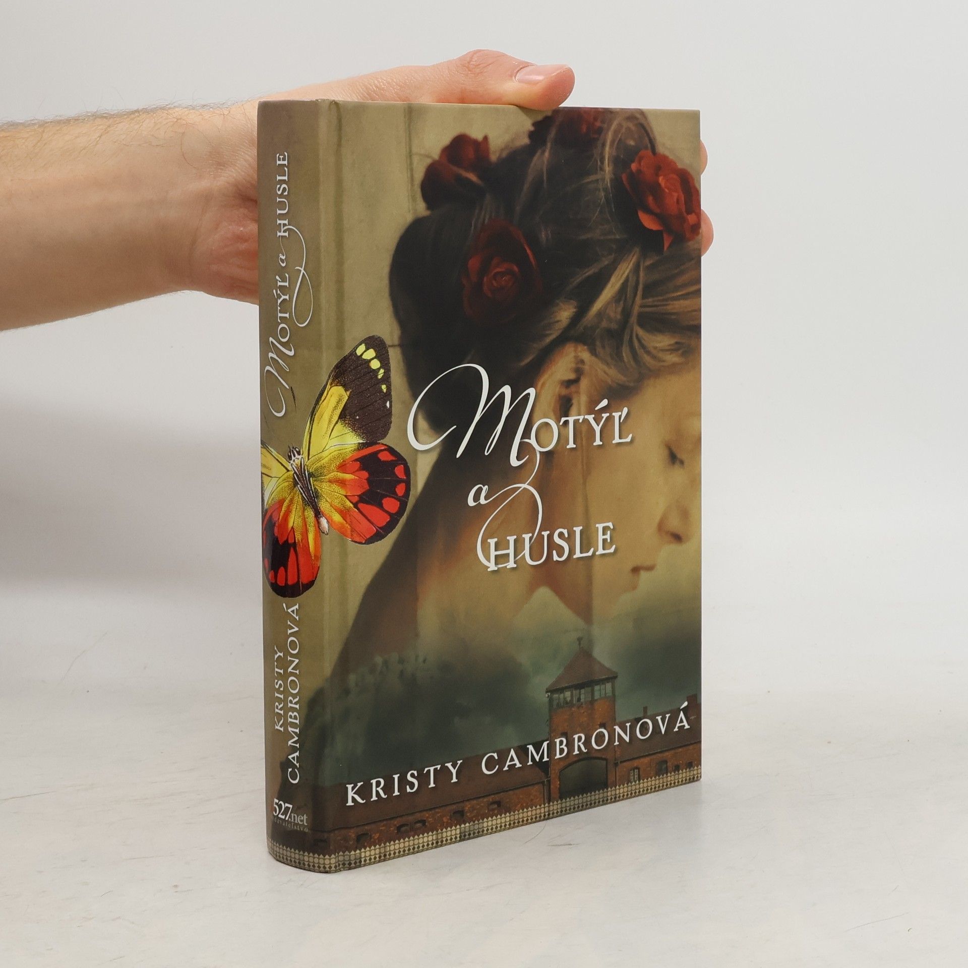 Kristy Cambron Motýl a husle