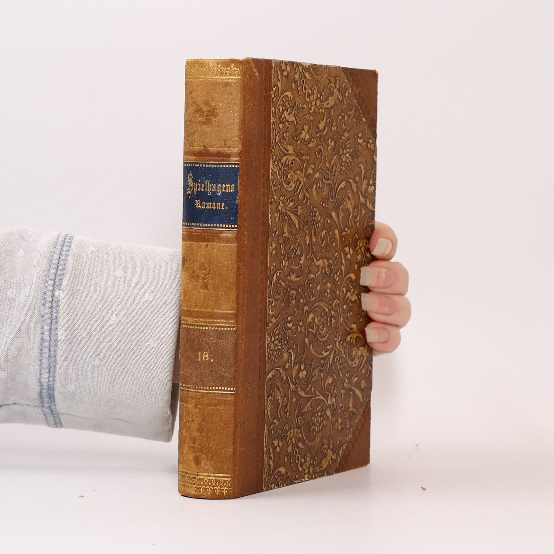 Friedrich Spielhagen An der Heilquelle