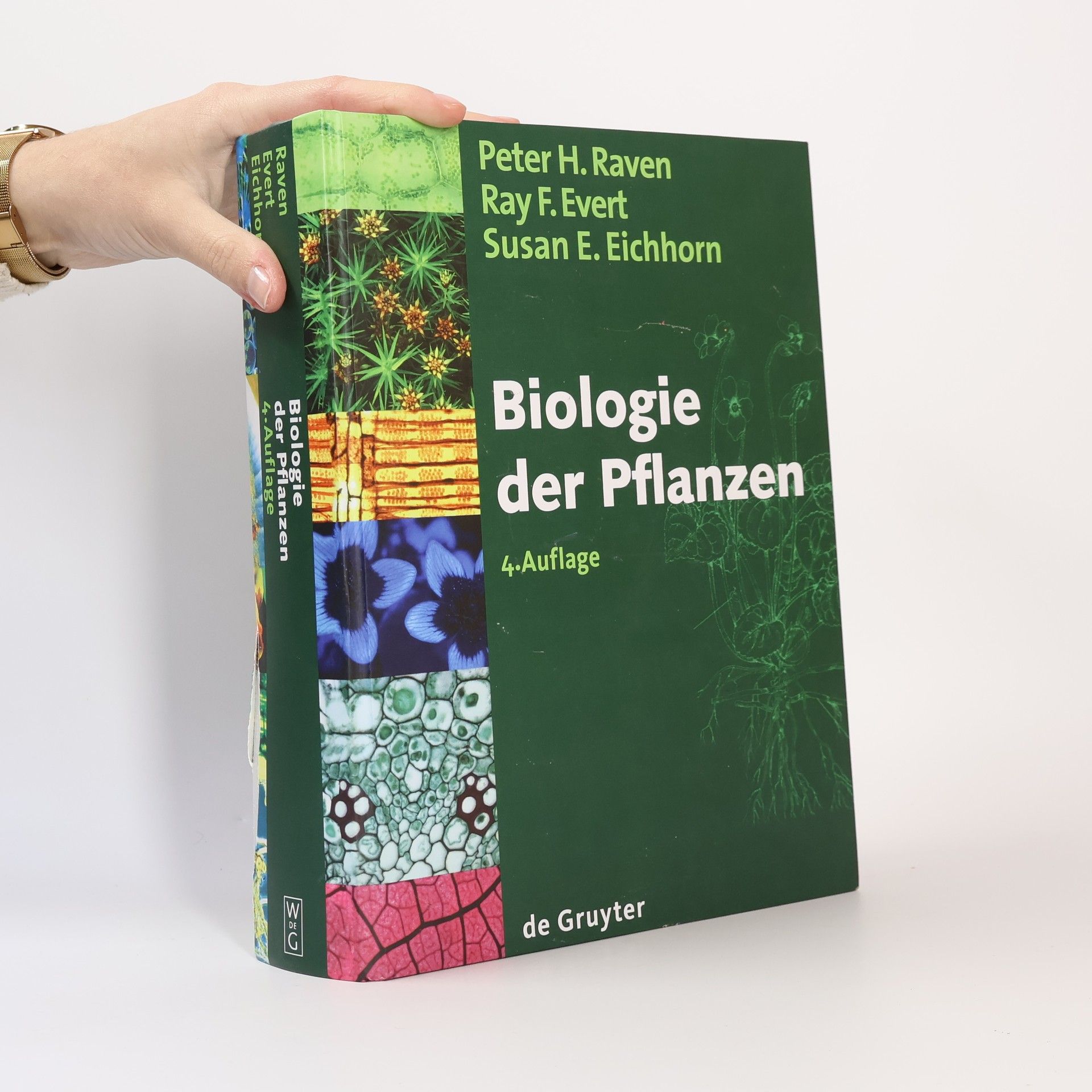 Peter H. Raven Biologie der Pflanzen