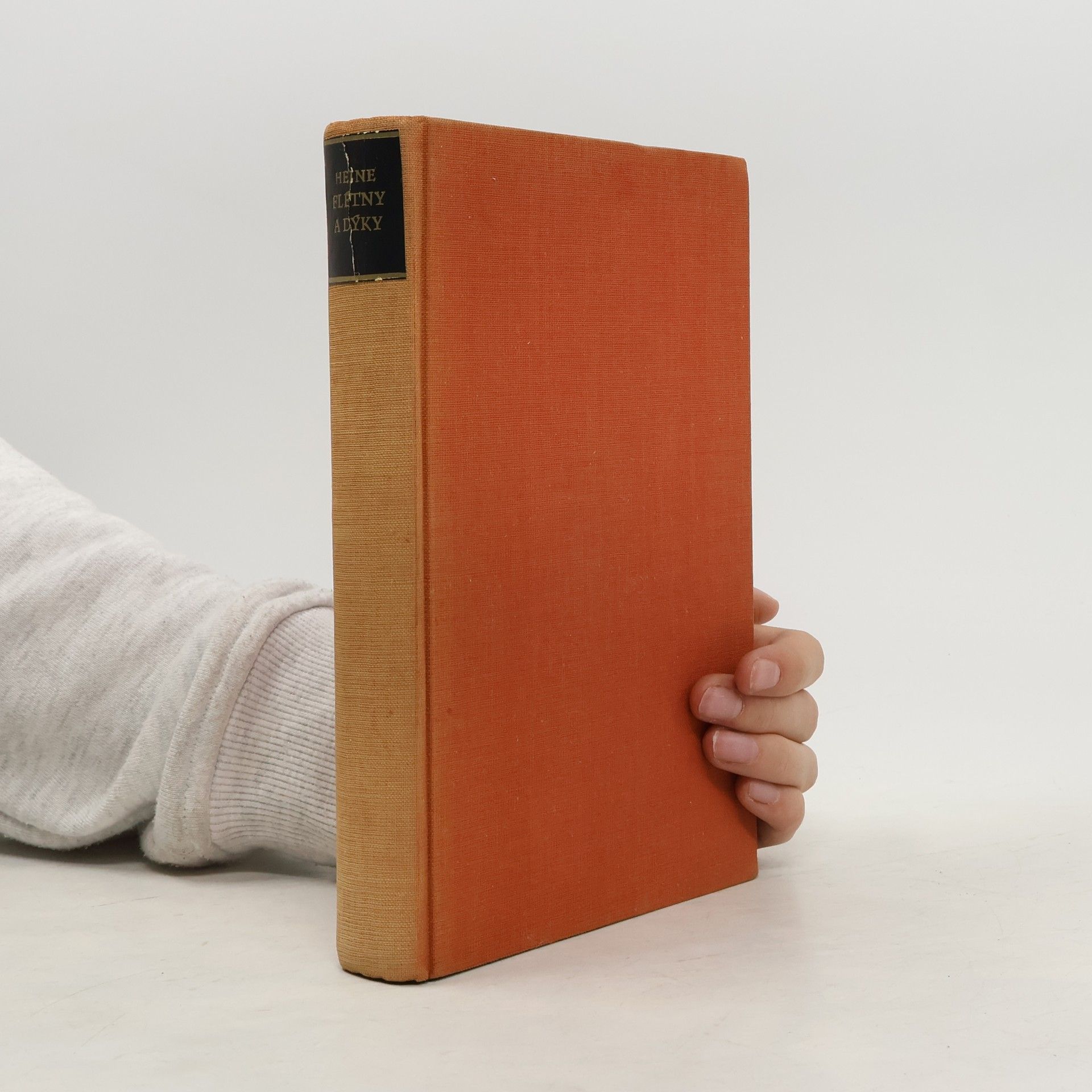 Heinrich Heine Flétny a dýky