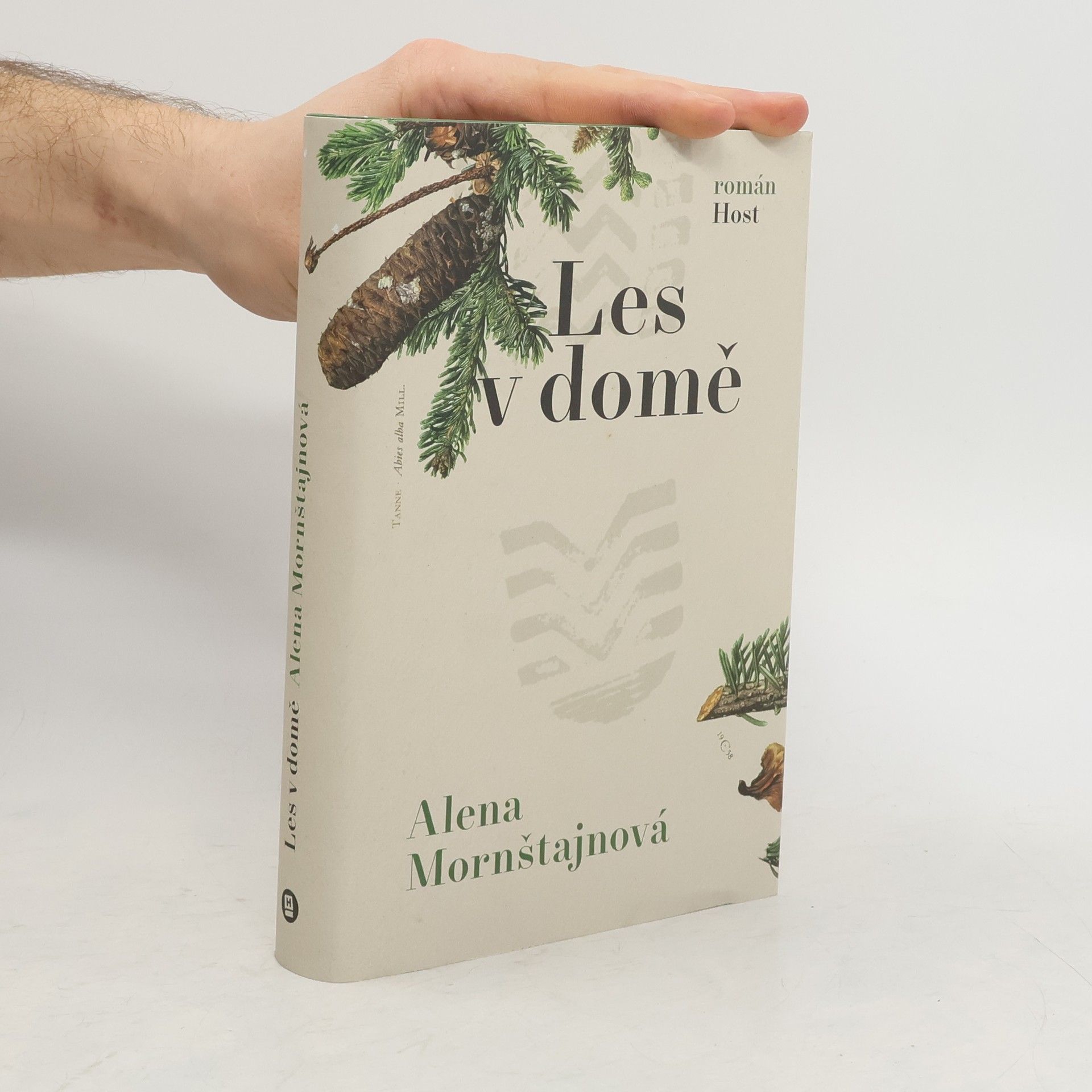 Alena Mornštajnová Les v domě