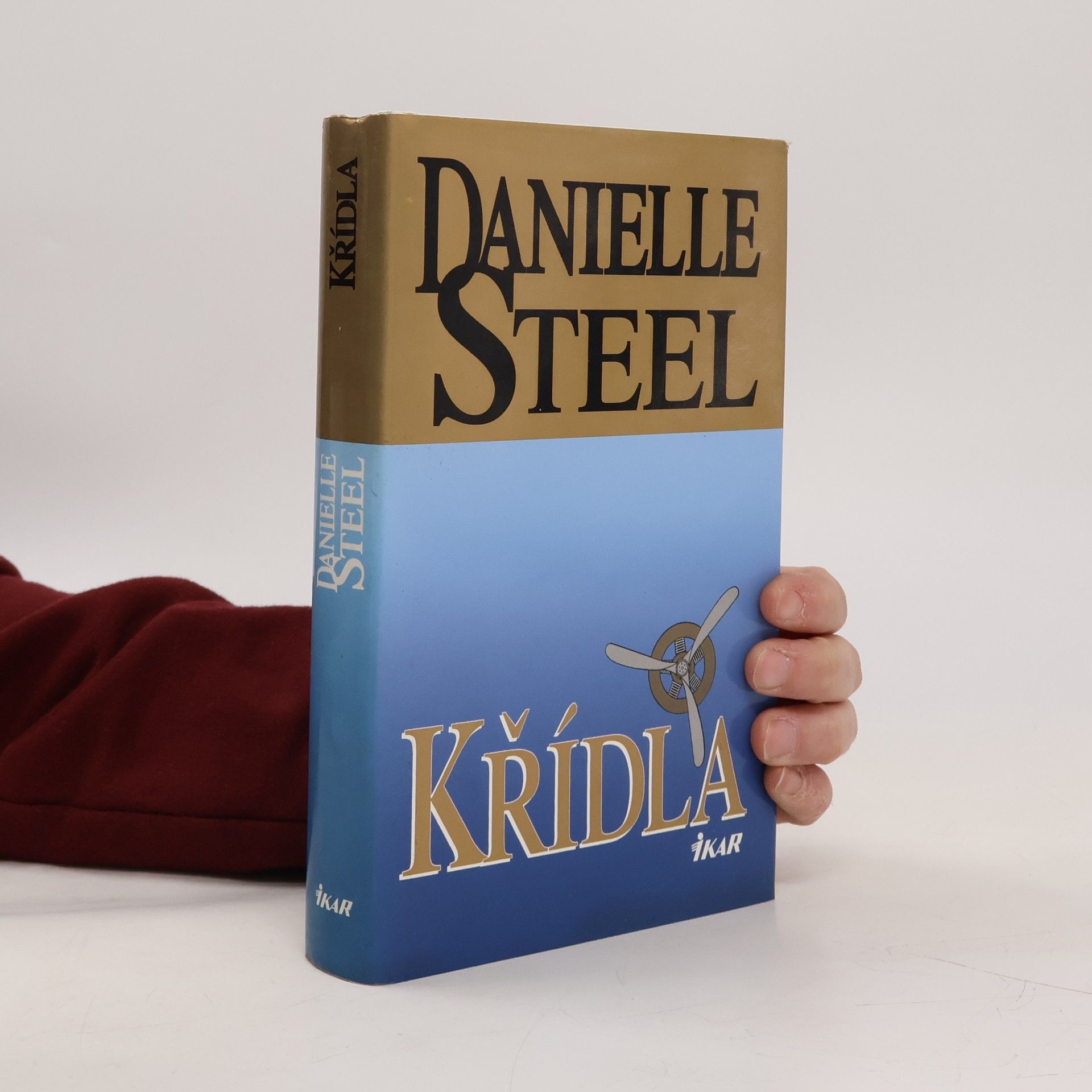 Danielle Steel Křídla