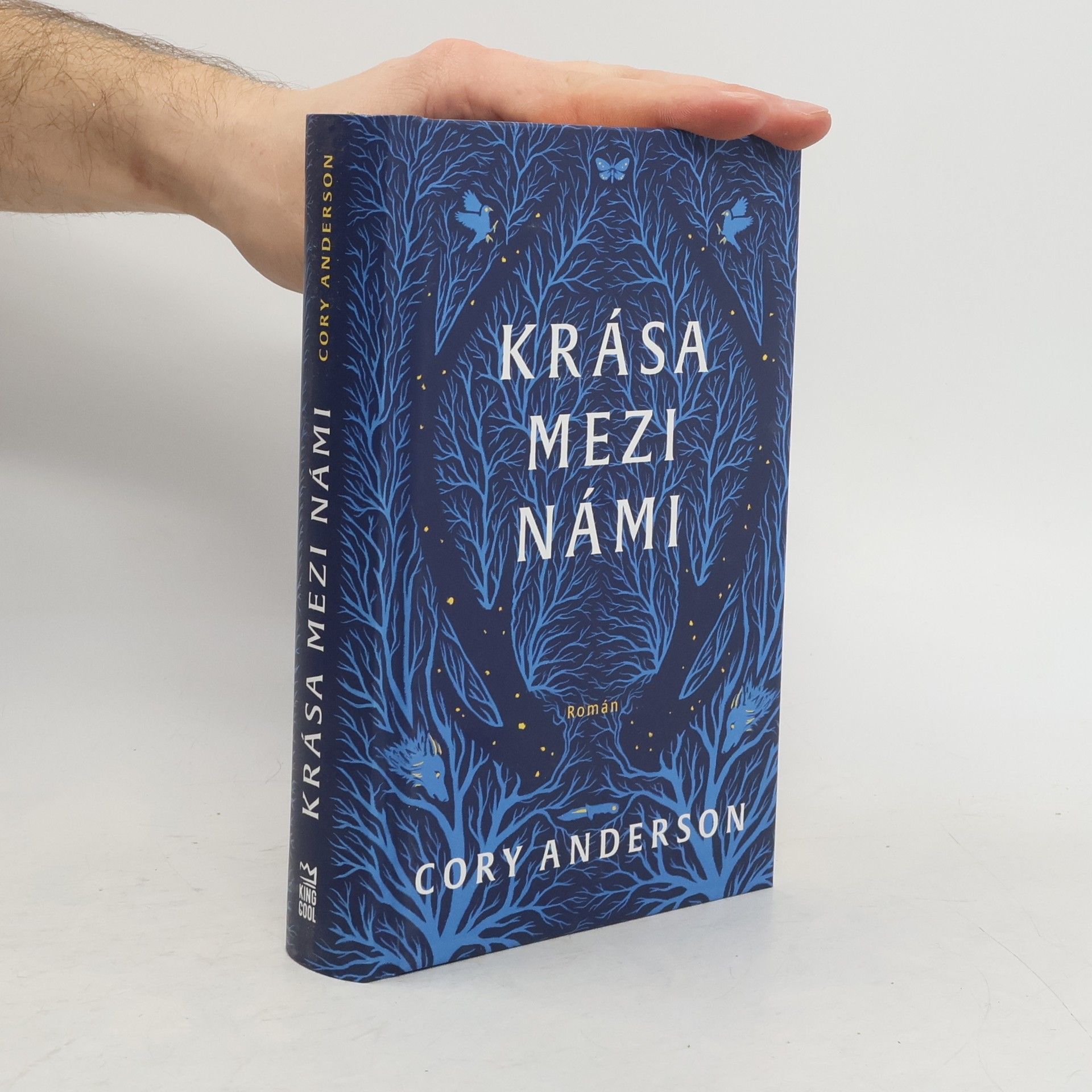 Cory L. Anderson Krása mezi námi