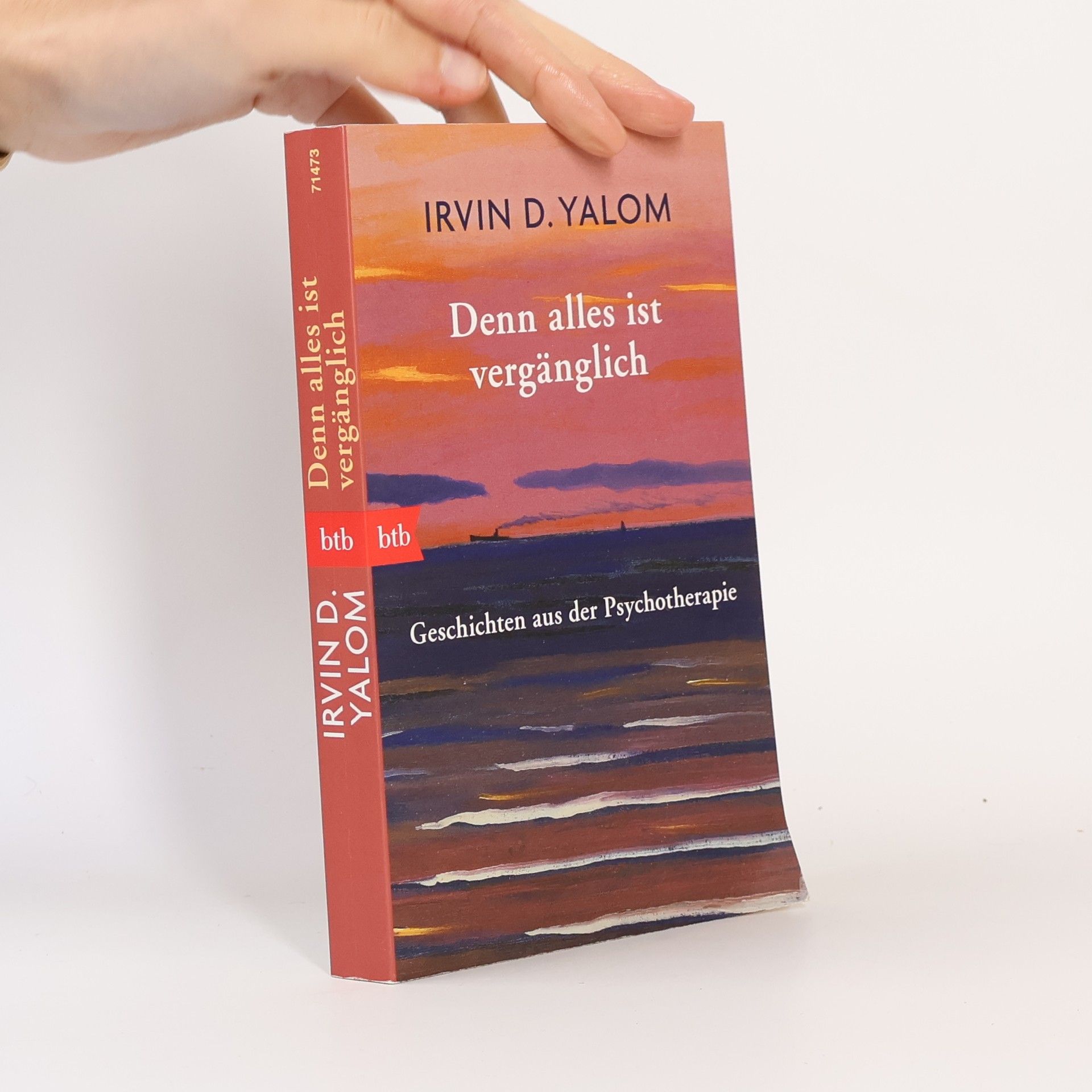 Irvin Yalom Denn alles ist vergänglich