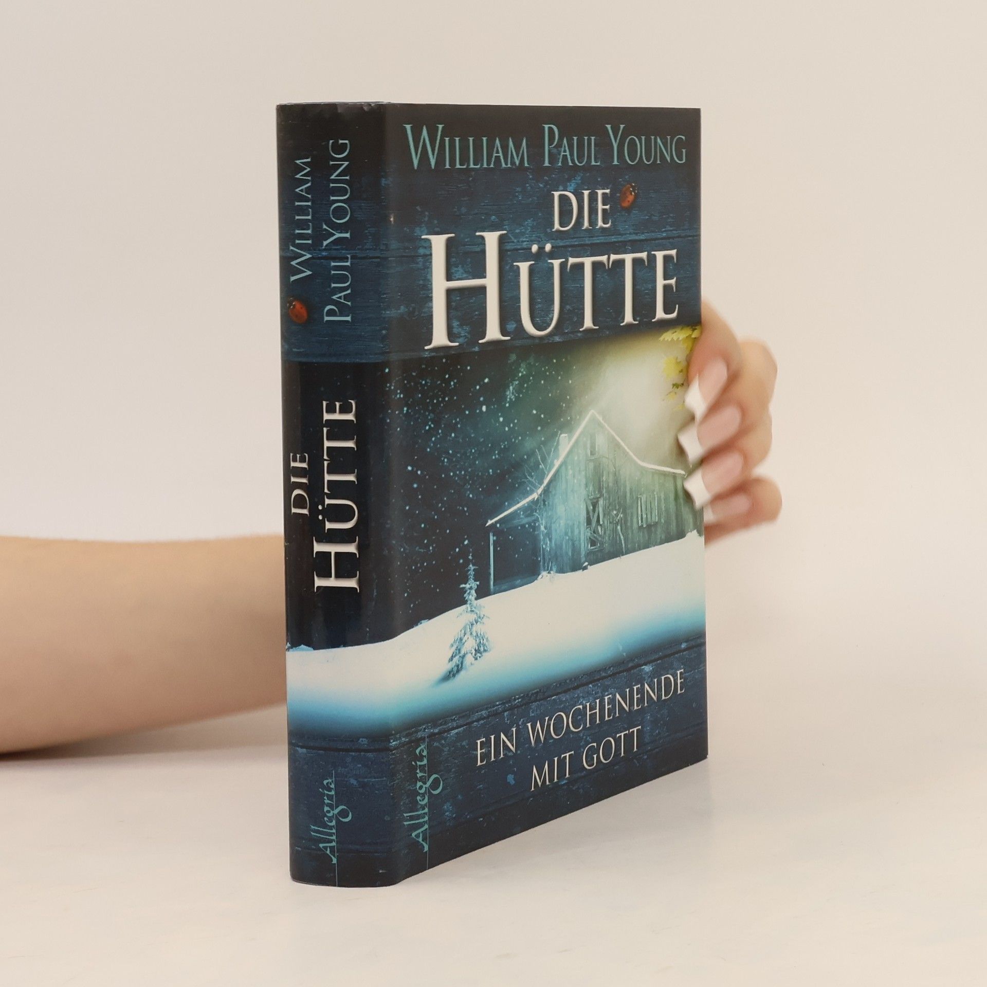 William P. Young Die Hütte