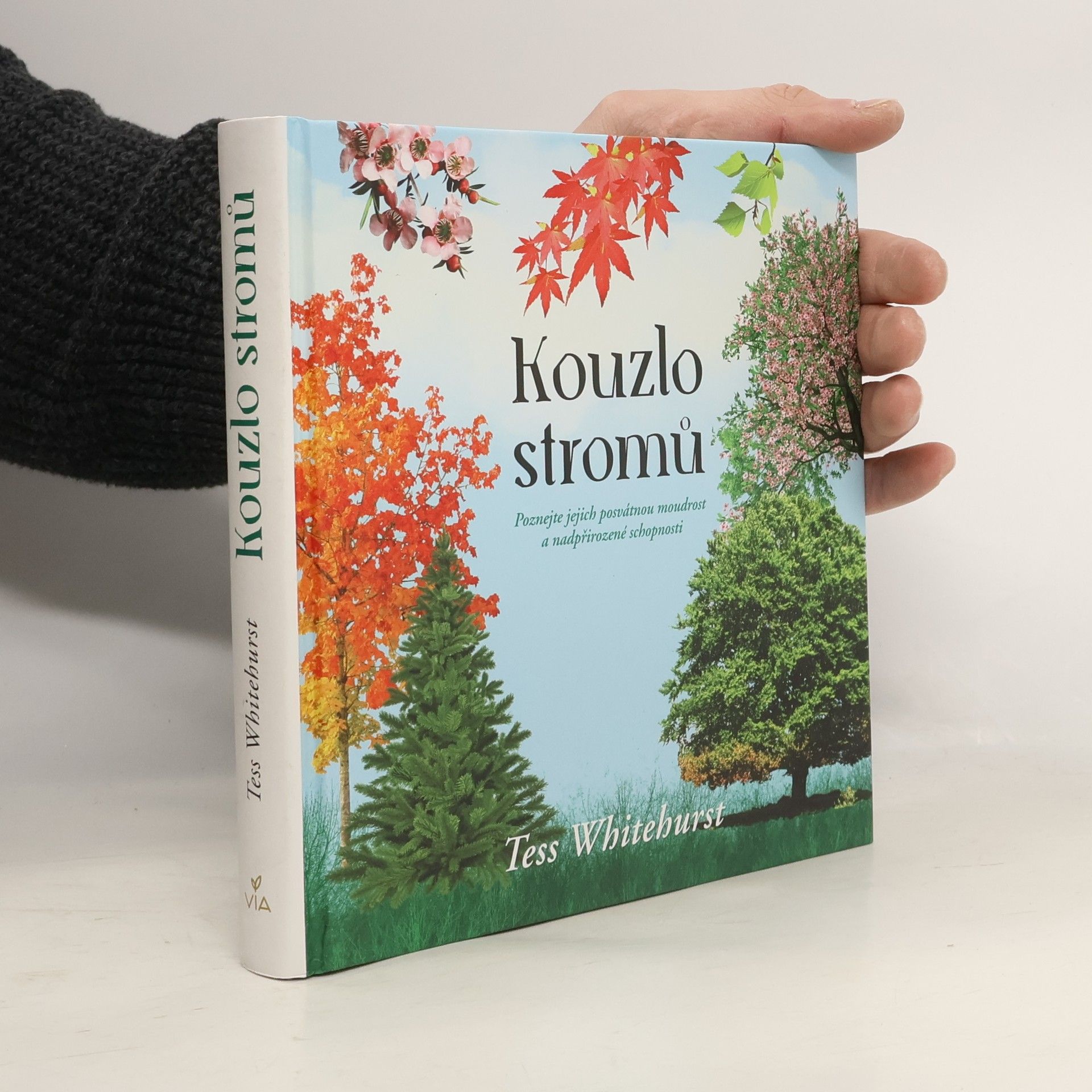 Tess Whitehurst Kouzlo stromů : poznejte jejich posvátnou moudrost a nadpřirozené schopnosti
