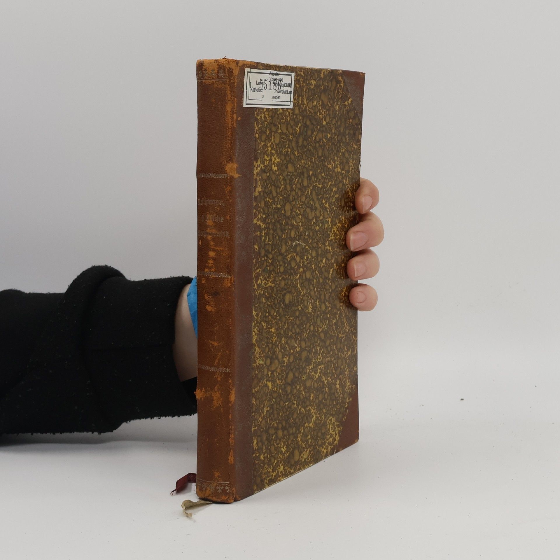 Valentin Thalhofer Lehrbuch der Biblischen Hermeneutik