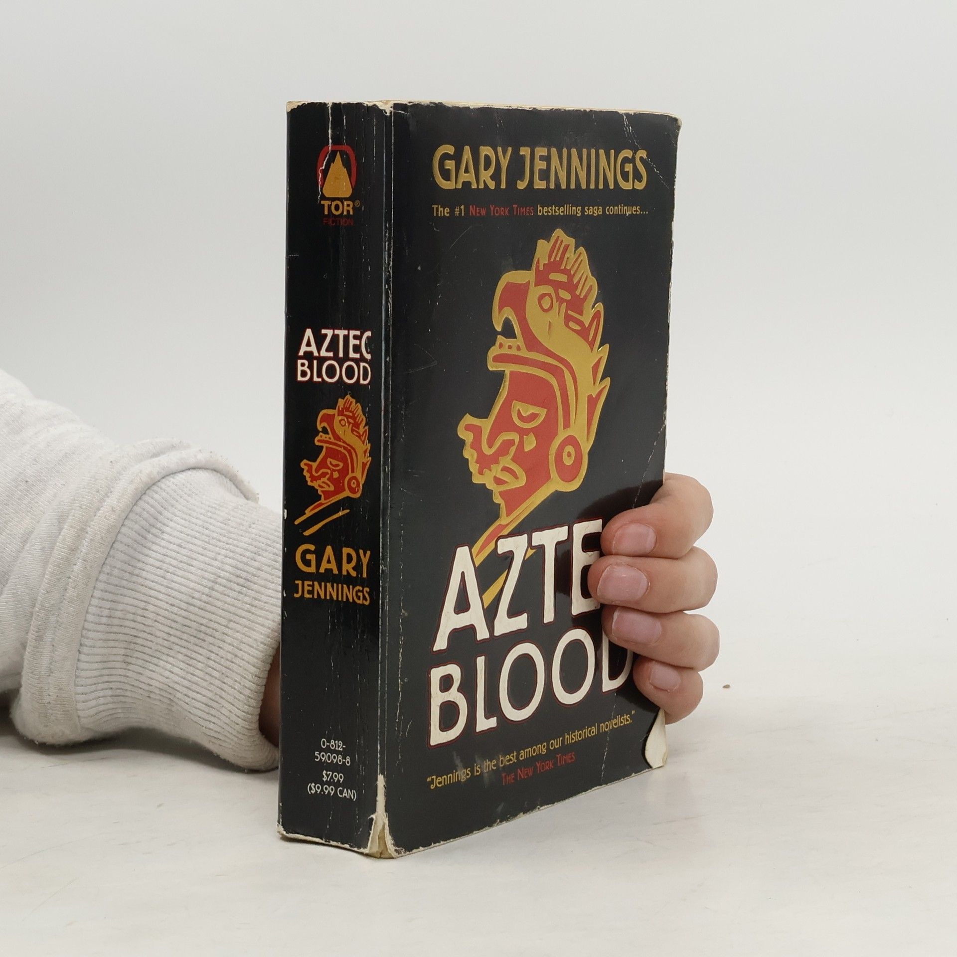 Gary Jennings Aztec Blood