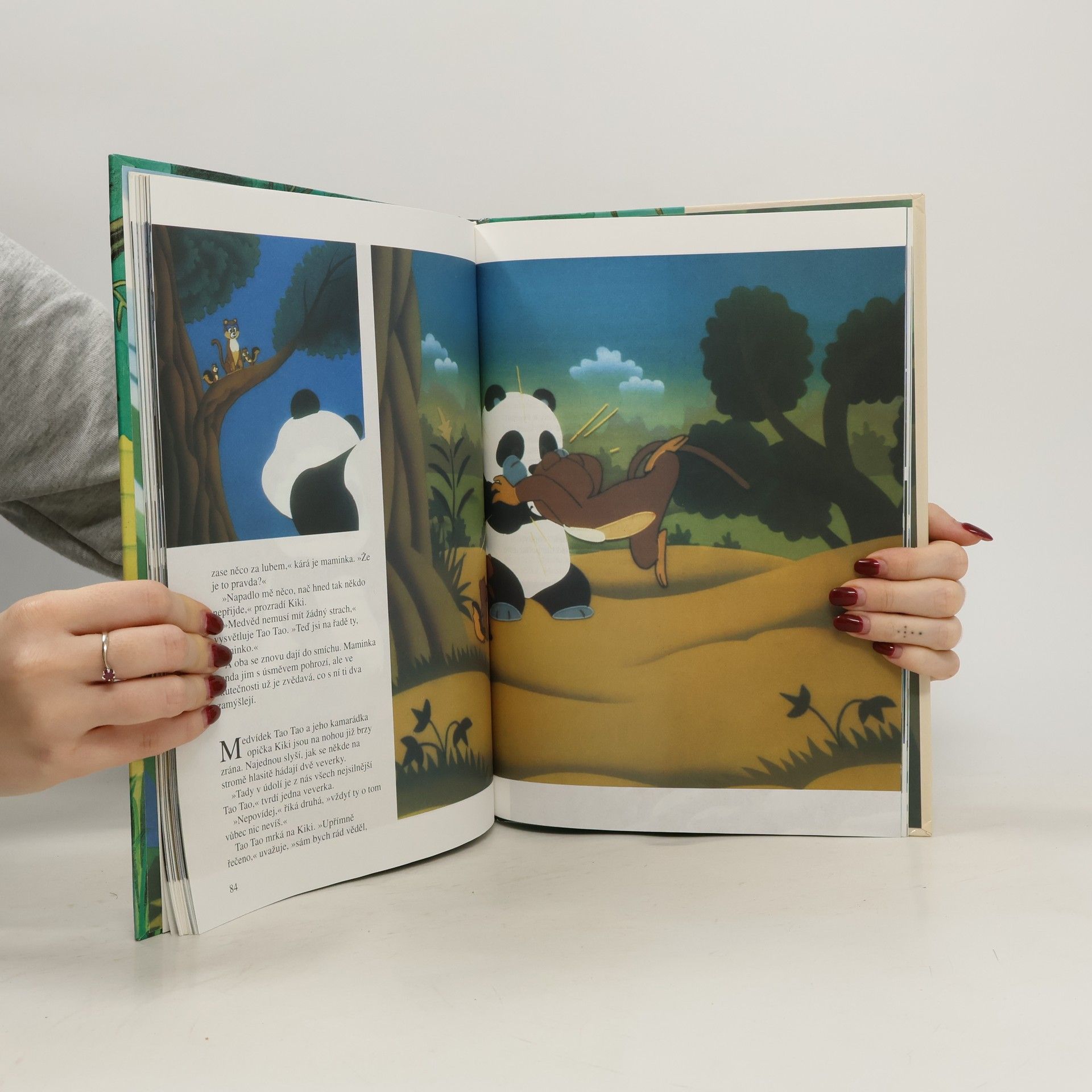 Autorenkollektiv Tao Tao. Medvídek panda