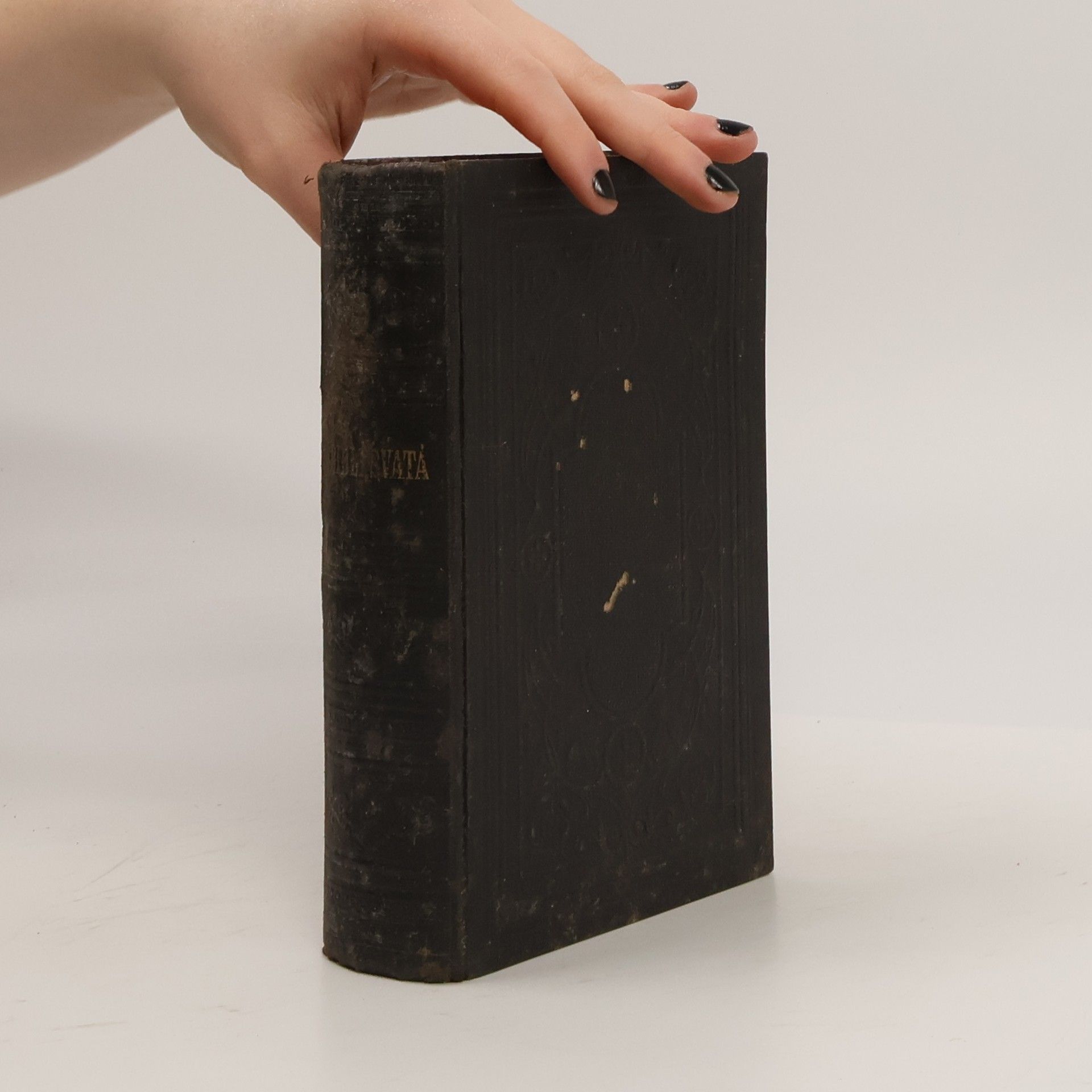 AA.VV. Biblí svatá aneb Všecka Svatá písma Starého i Nového zákona