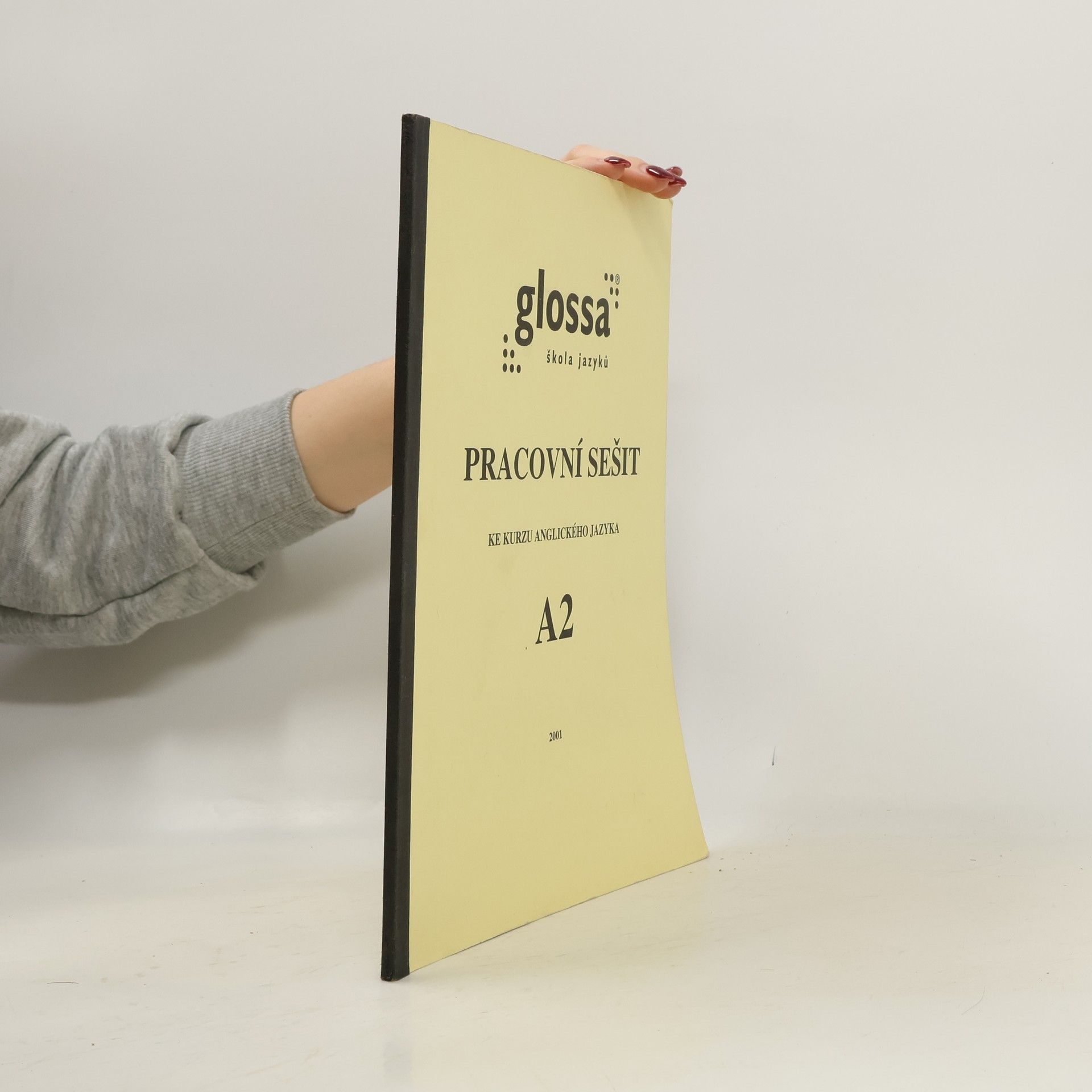 Auteurscollectief Pracovní sešit ke kurzu anglického jazyka A2