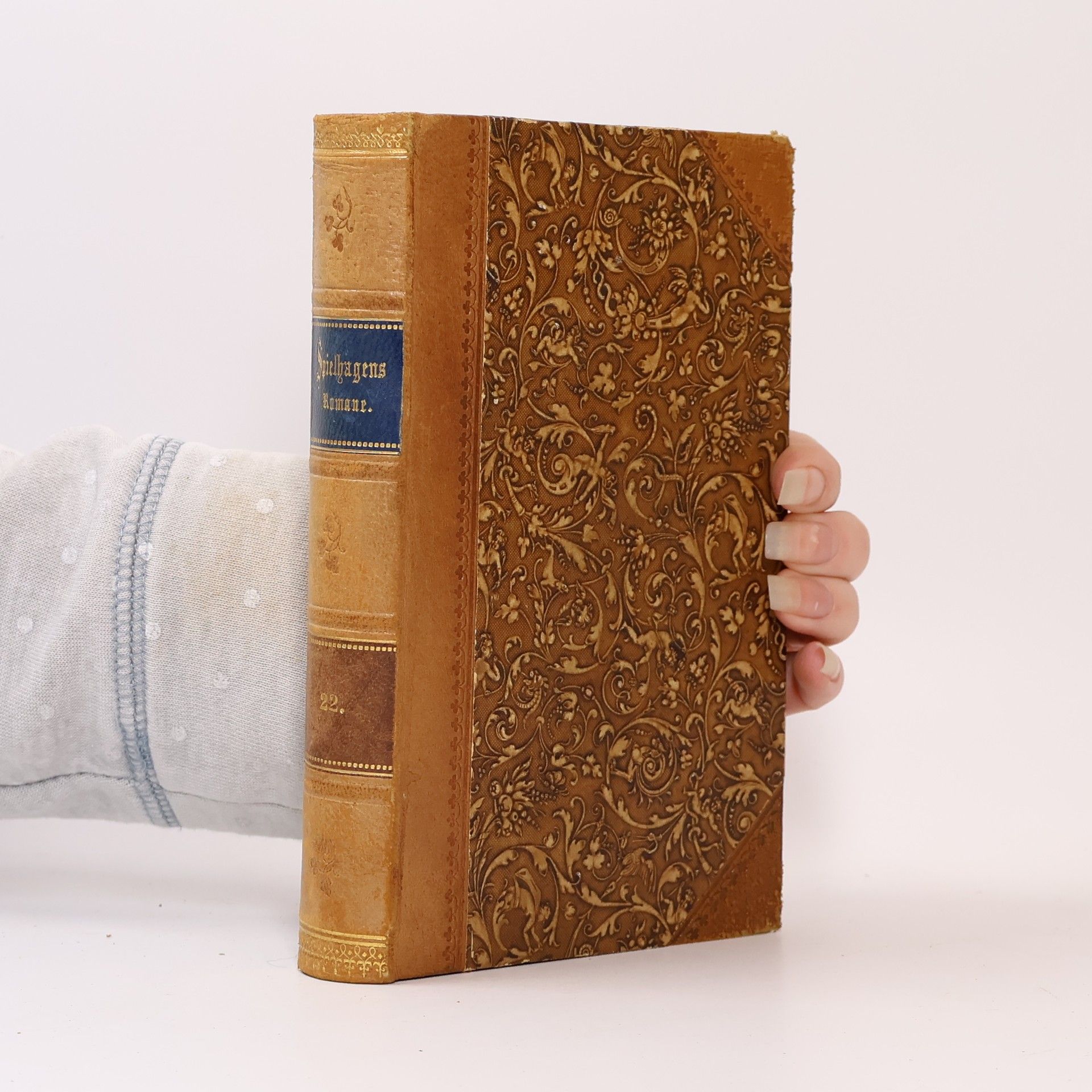 Friedrich Spielhagen Was will das werden?