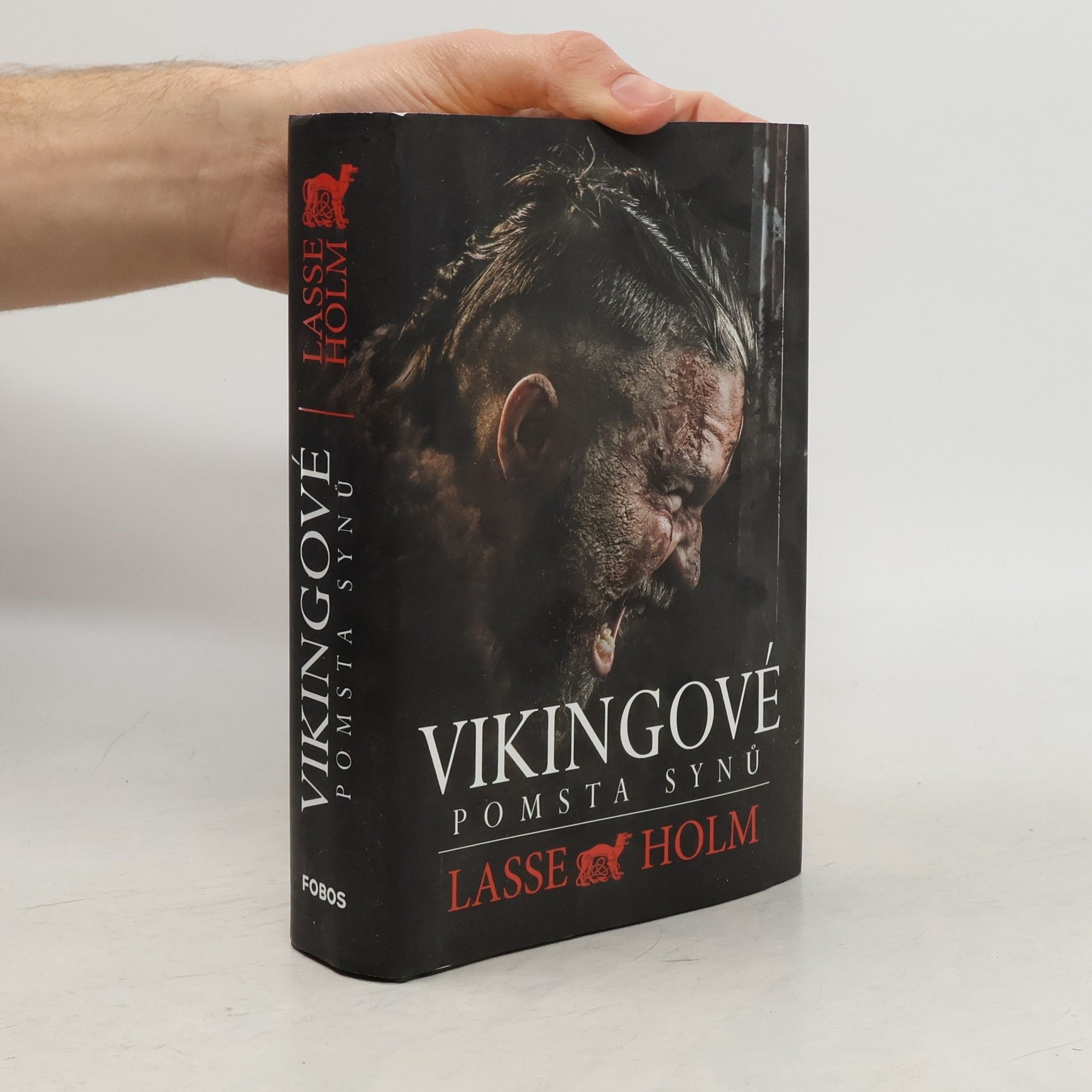 Lasse Holm Vikingové. Pomsta synů