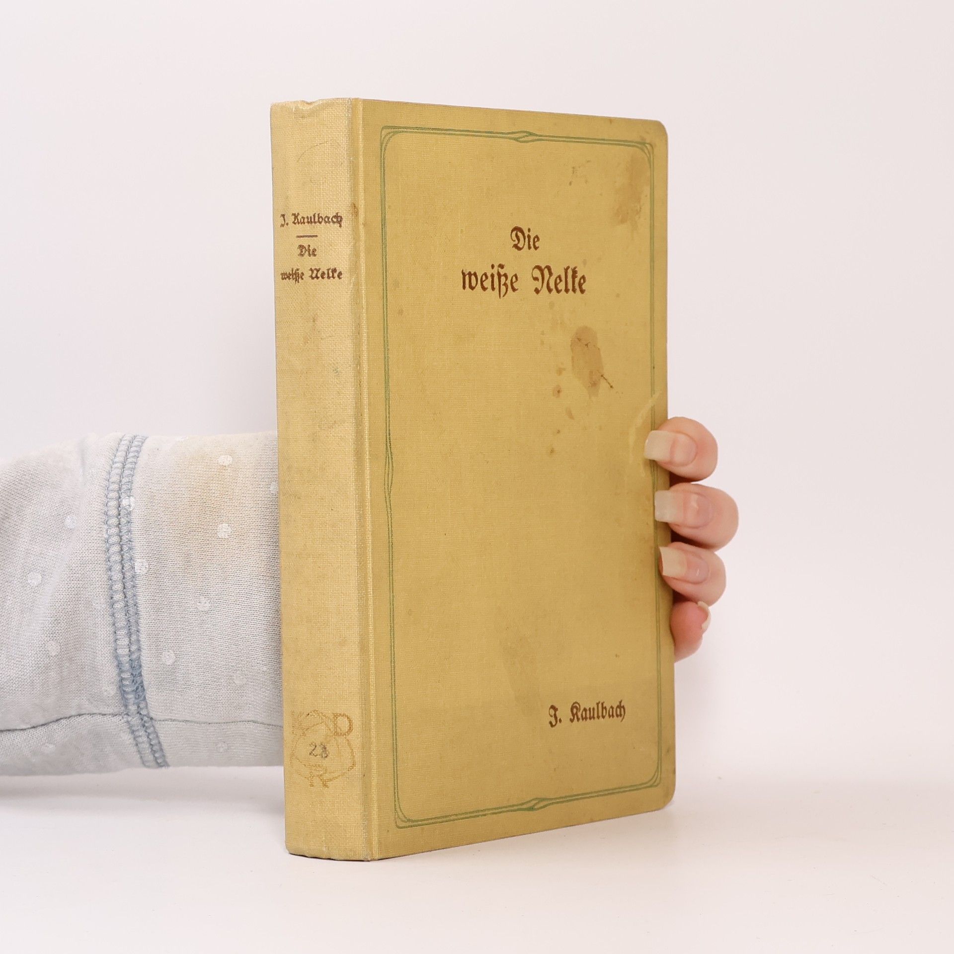 Isidore Kaulbach Die weiße Nelke