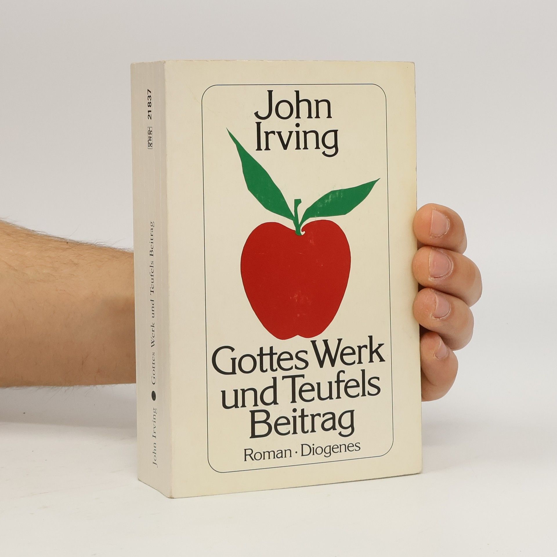 John Irving Gottes Werk und Teufels Beitrag