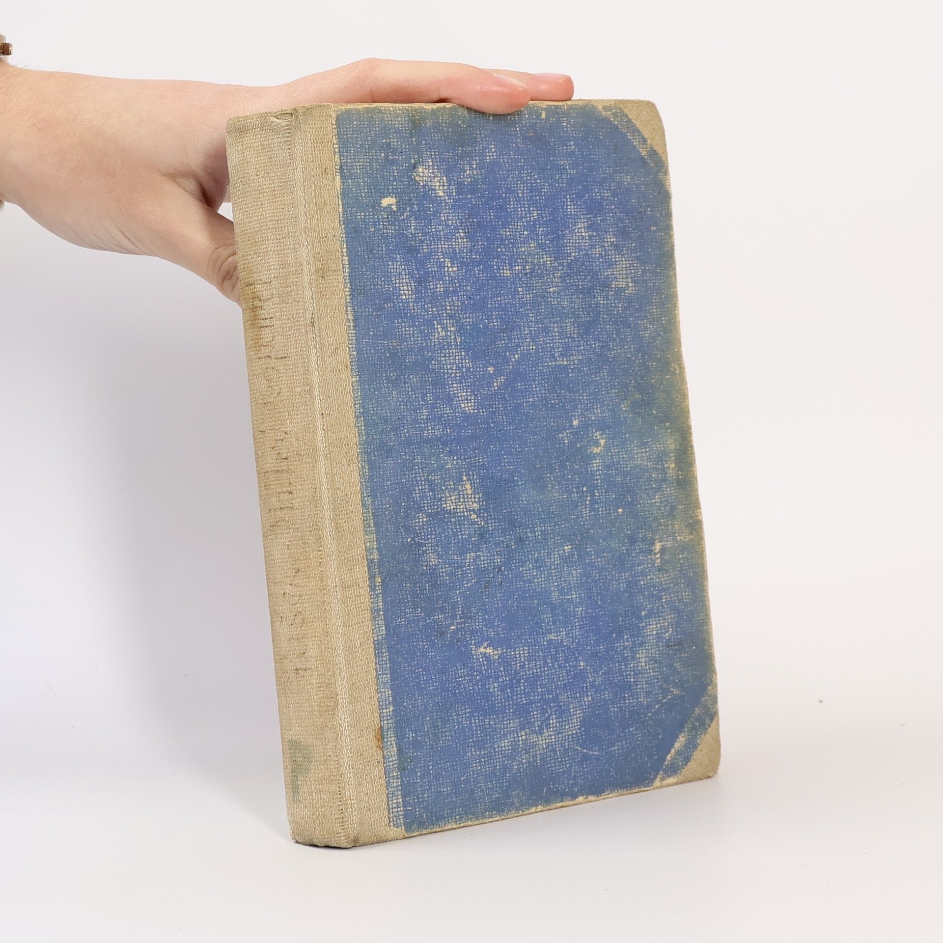 Mirko Pašek Modrý leopard