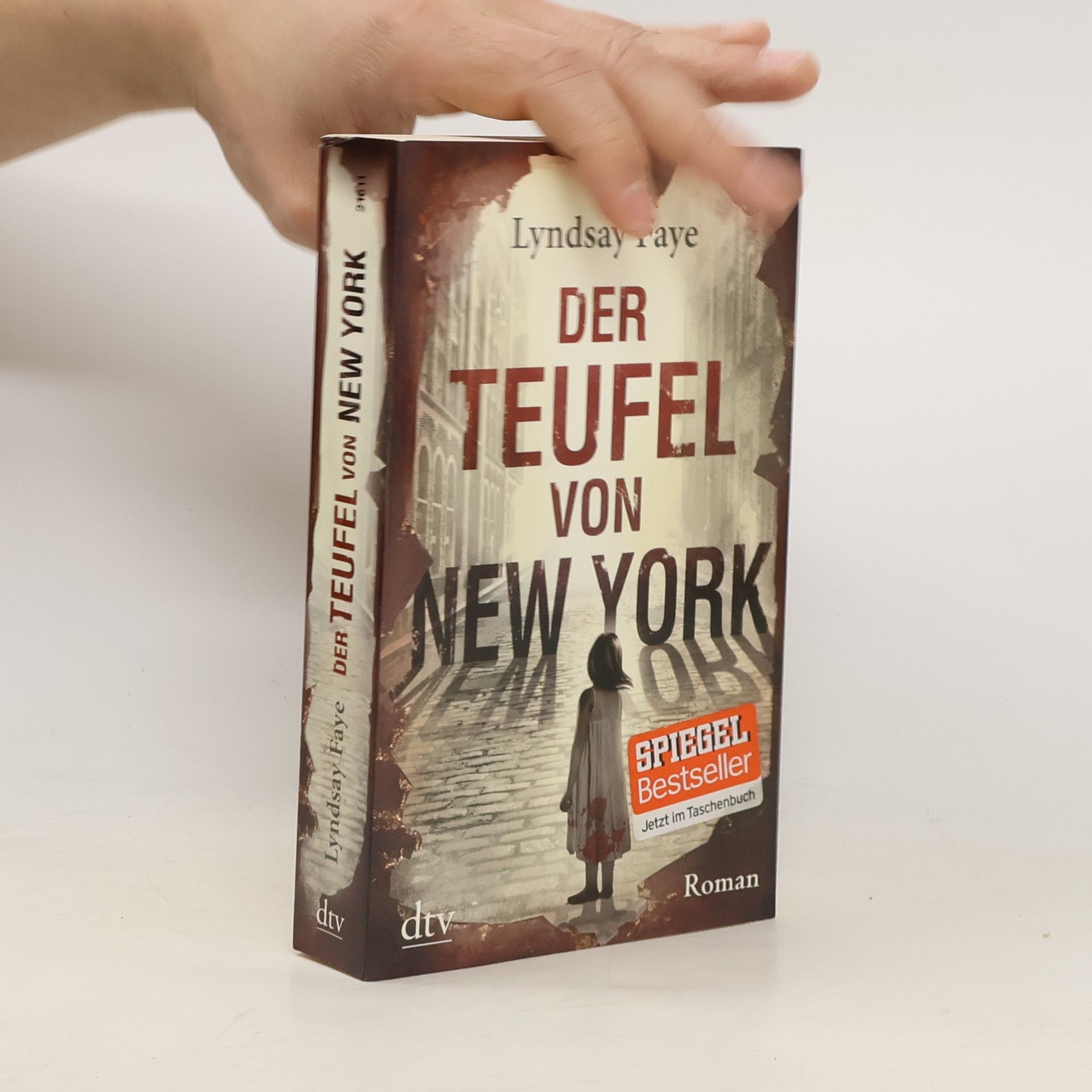 Lyndsay Faye Der Teufel von New York