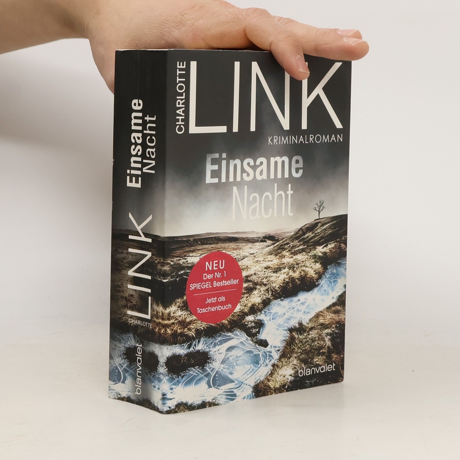 Charlotte Link Einsame Nacht