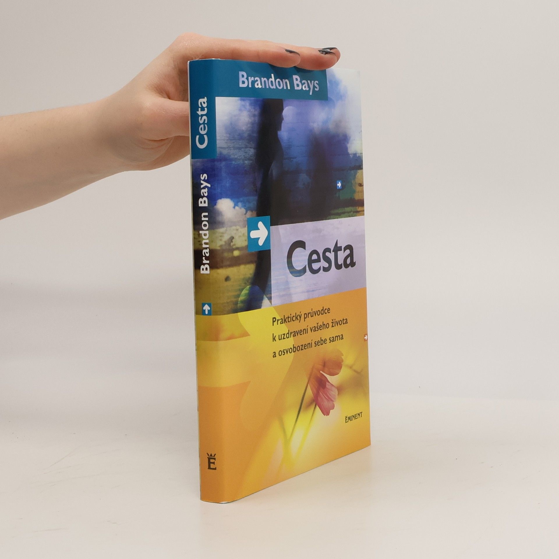 Cesta