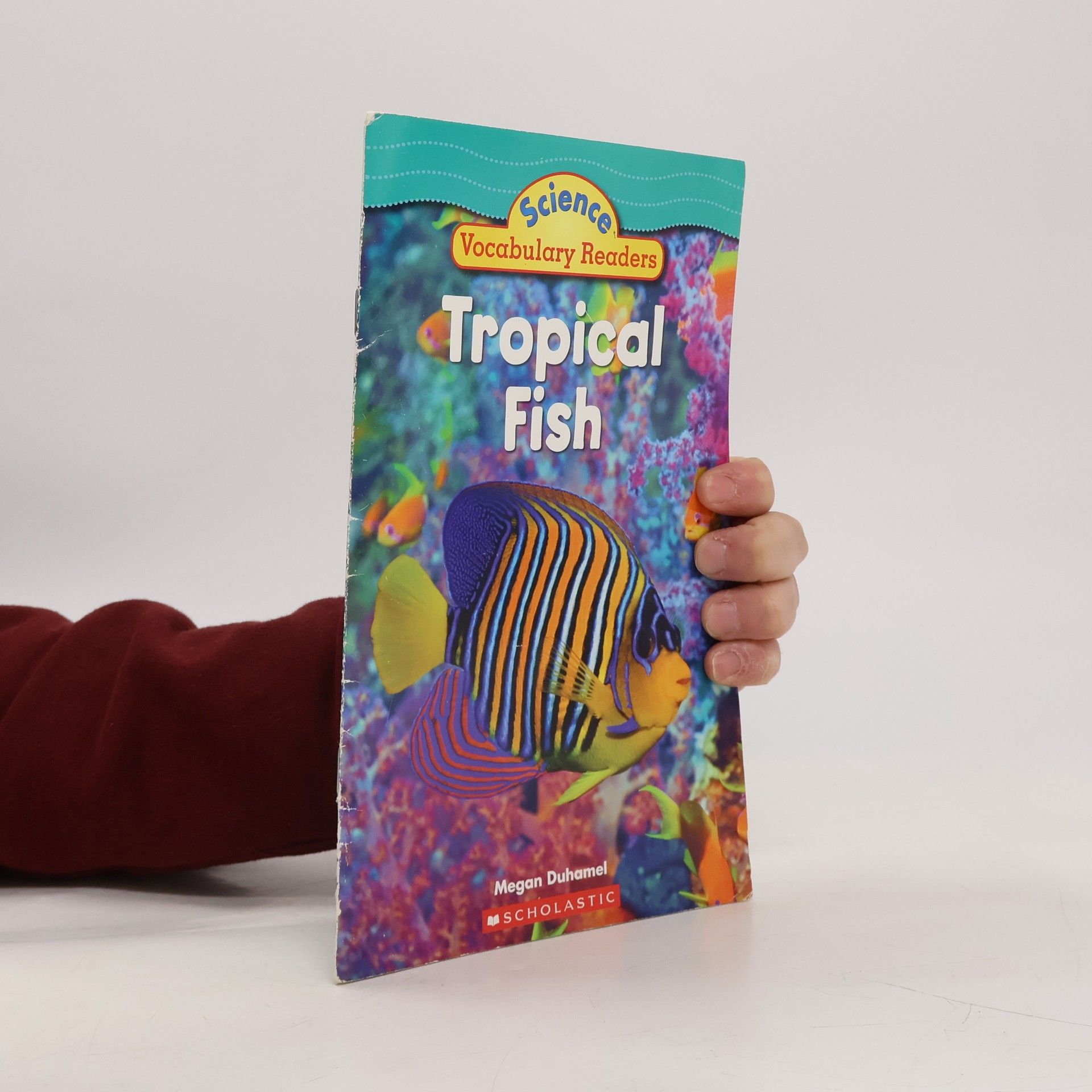 Megan Duhamel Tropical Fish