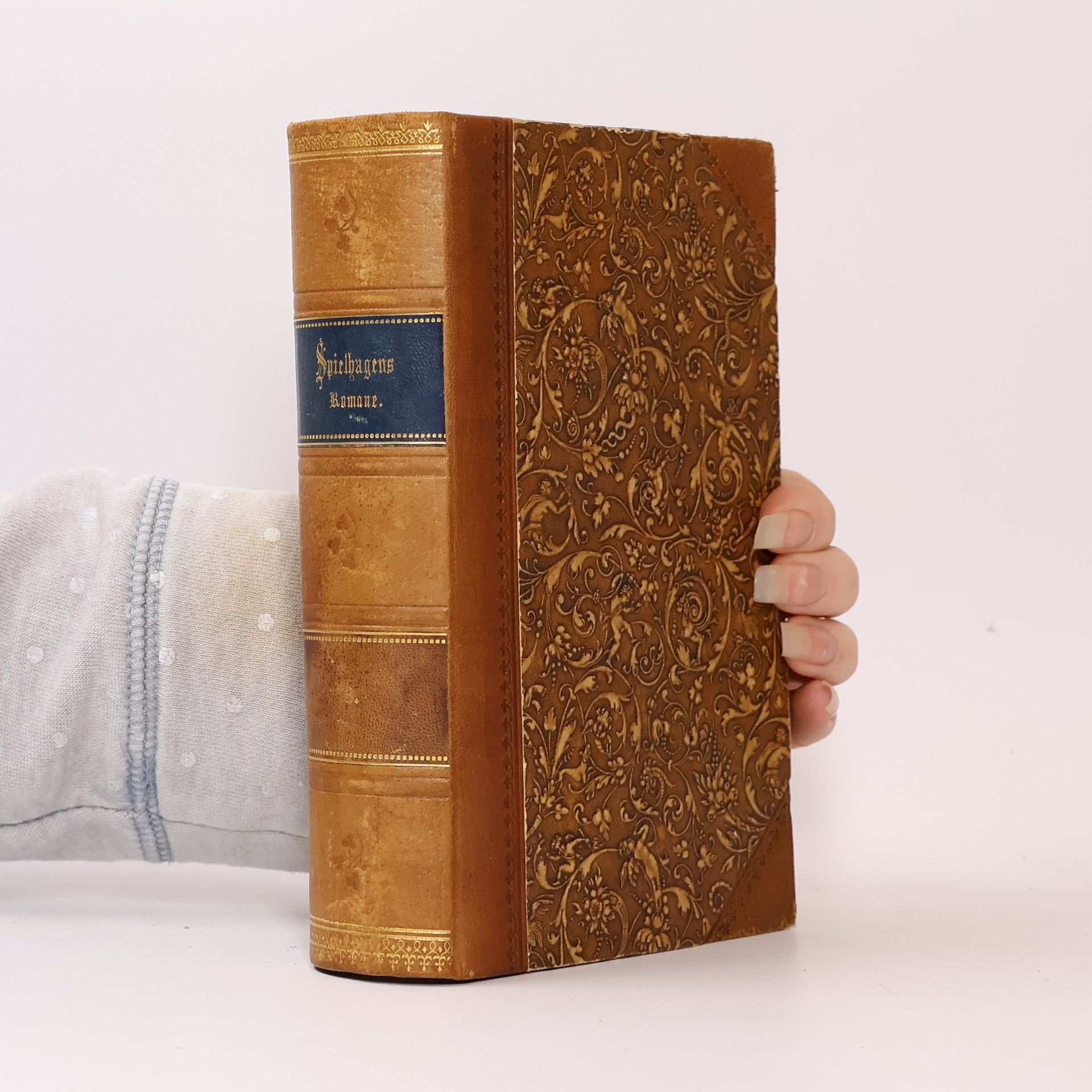 Friedrich Spielhagen Ausgewählte Romane. Bd. 2, Die von Hohenstein