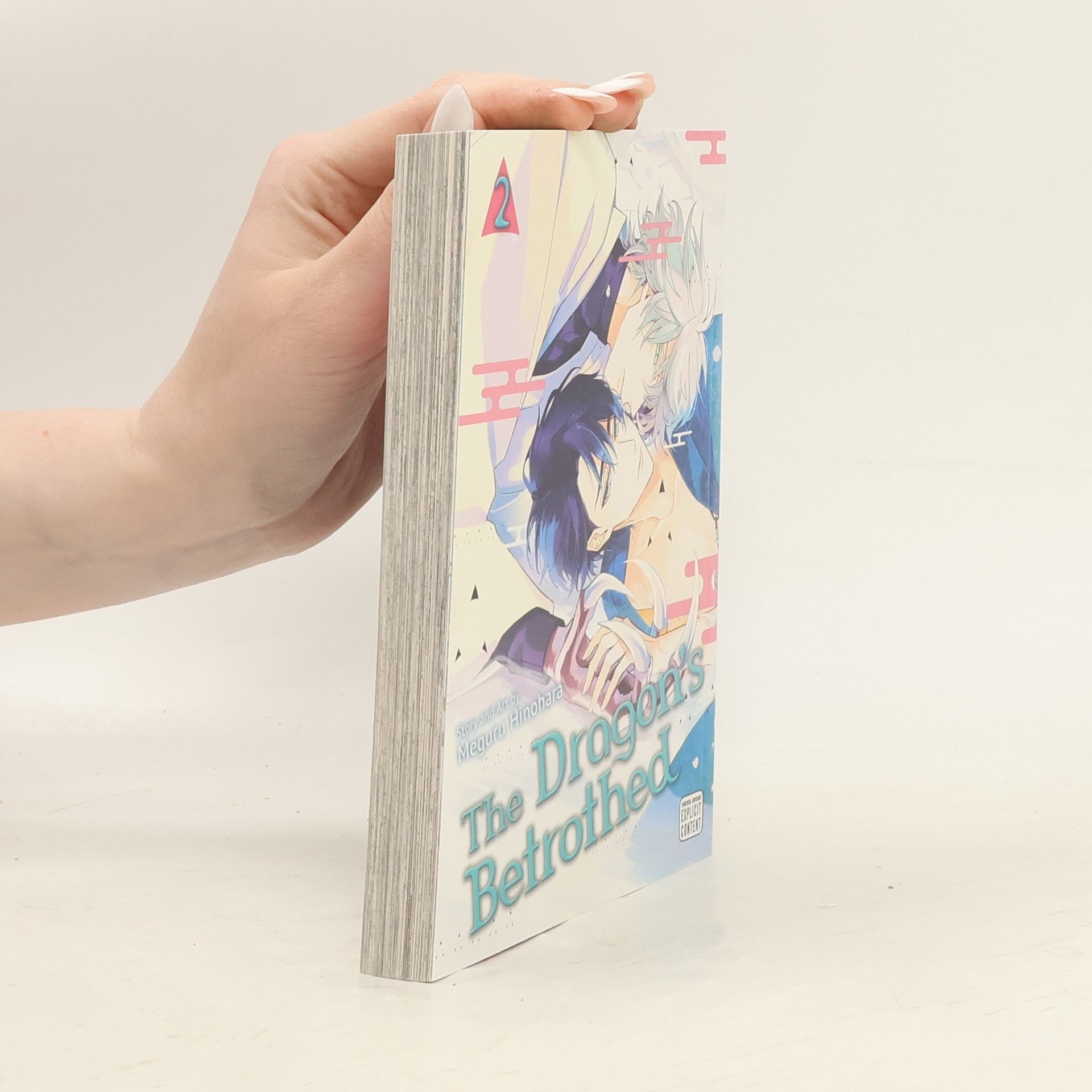 Meguru Hinohara The Dragon´s Betrothed 2