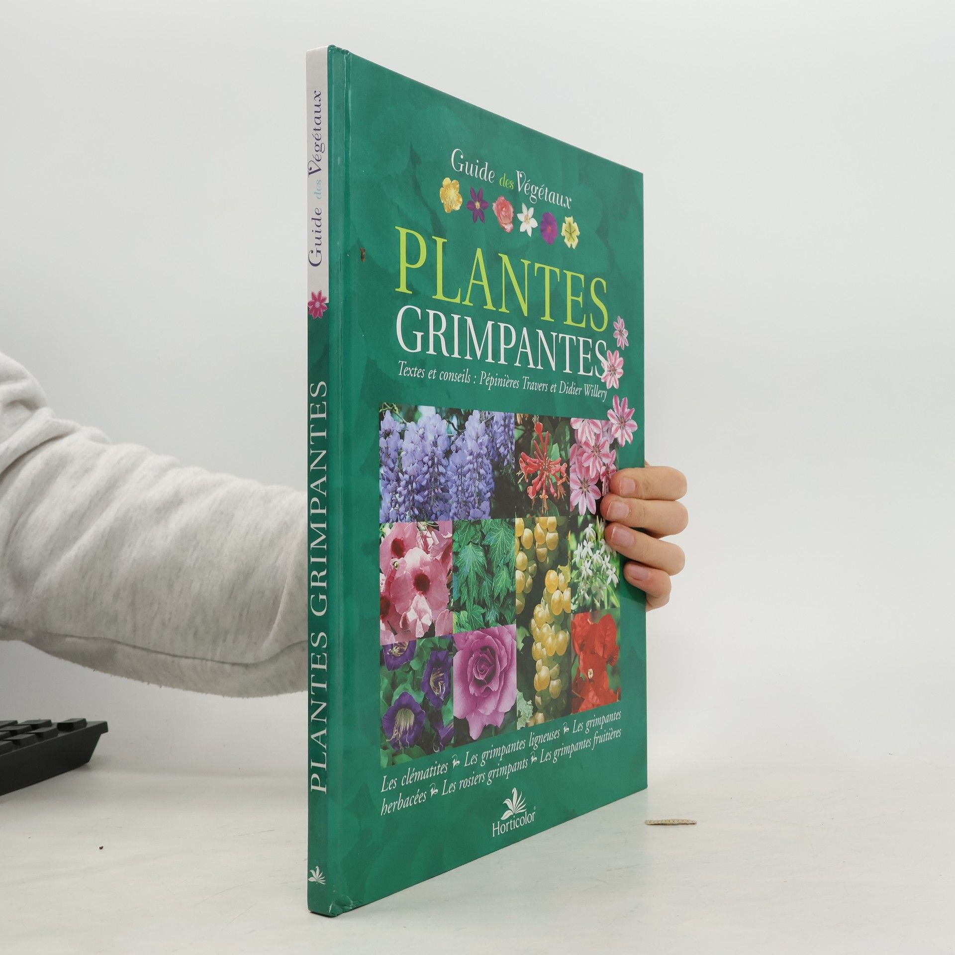 Guide des plantes grimpantes