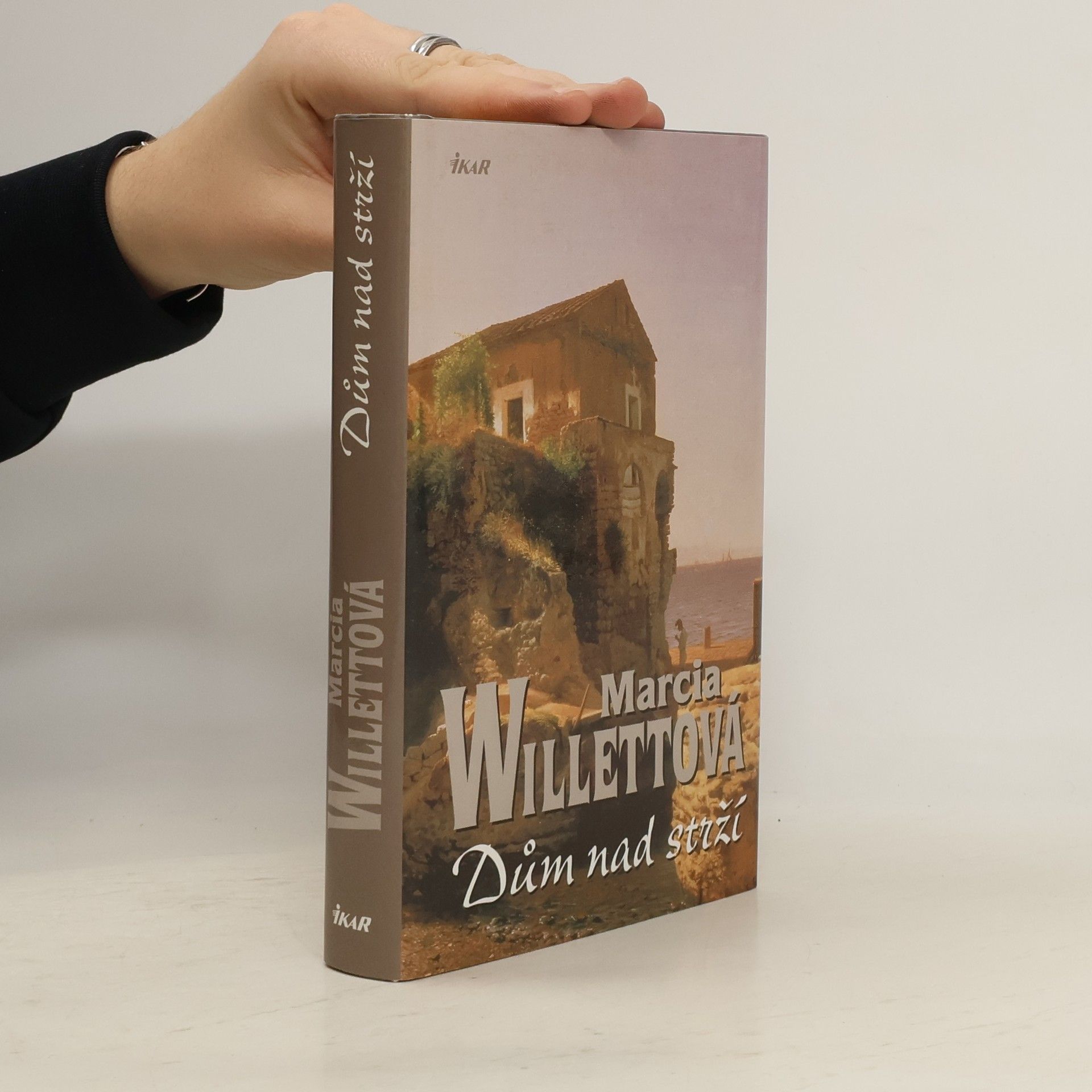 Marcia Willett Dům nad strží