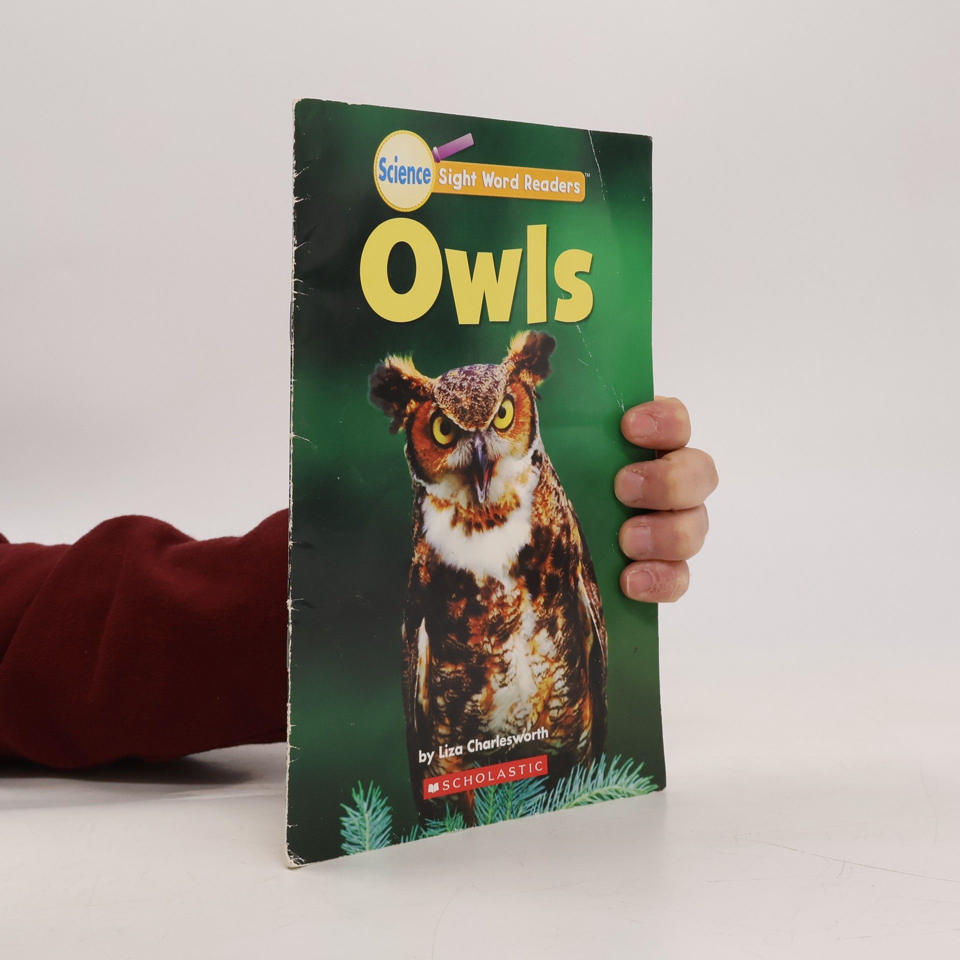 Liza Charlesworth Owls