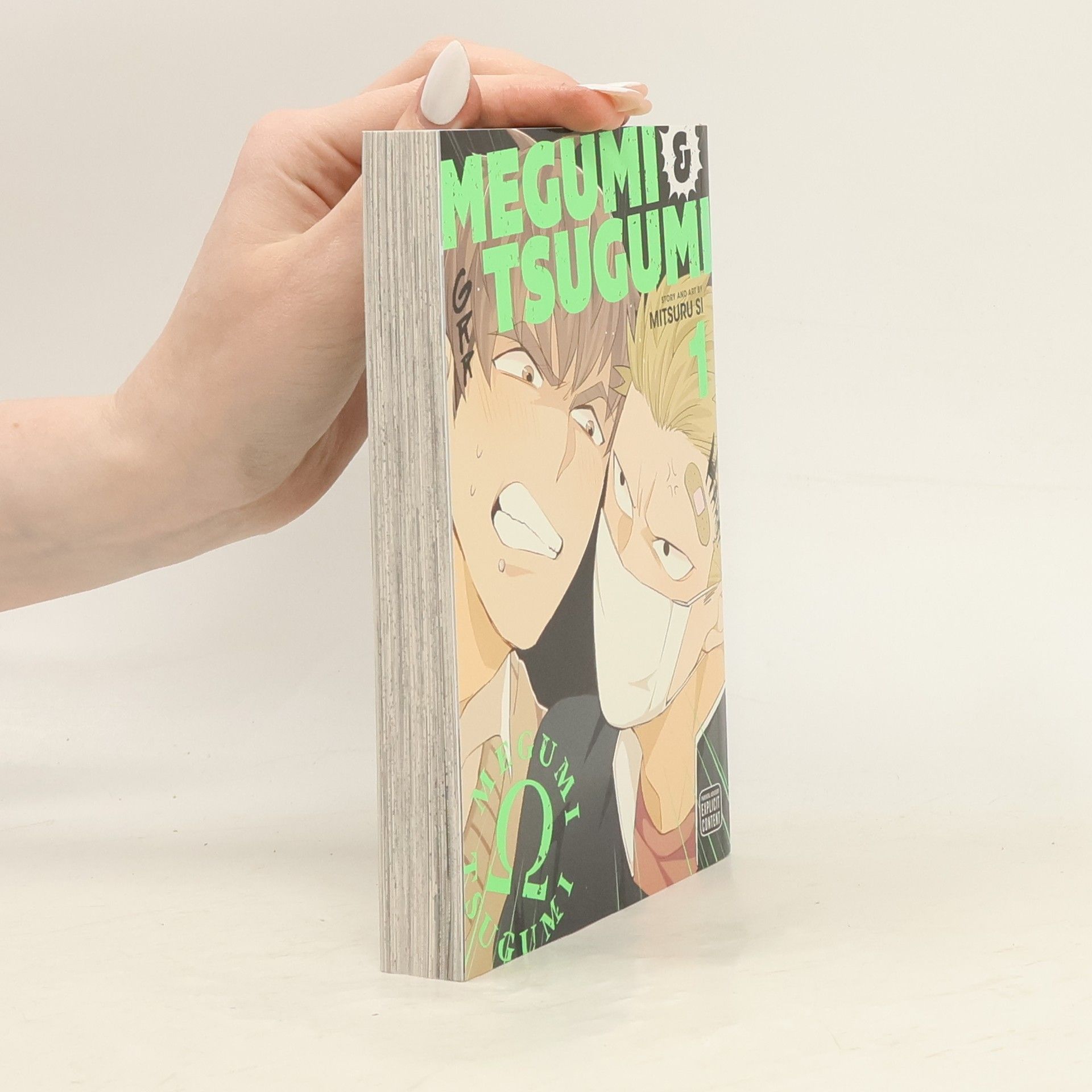 Mitsuru Si Megumi & Tsugumi, Vol. 1